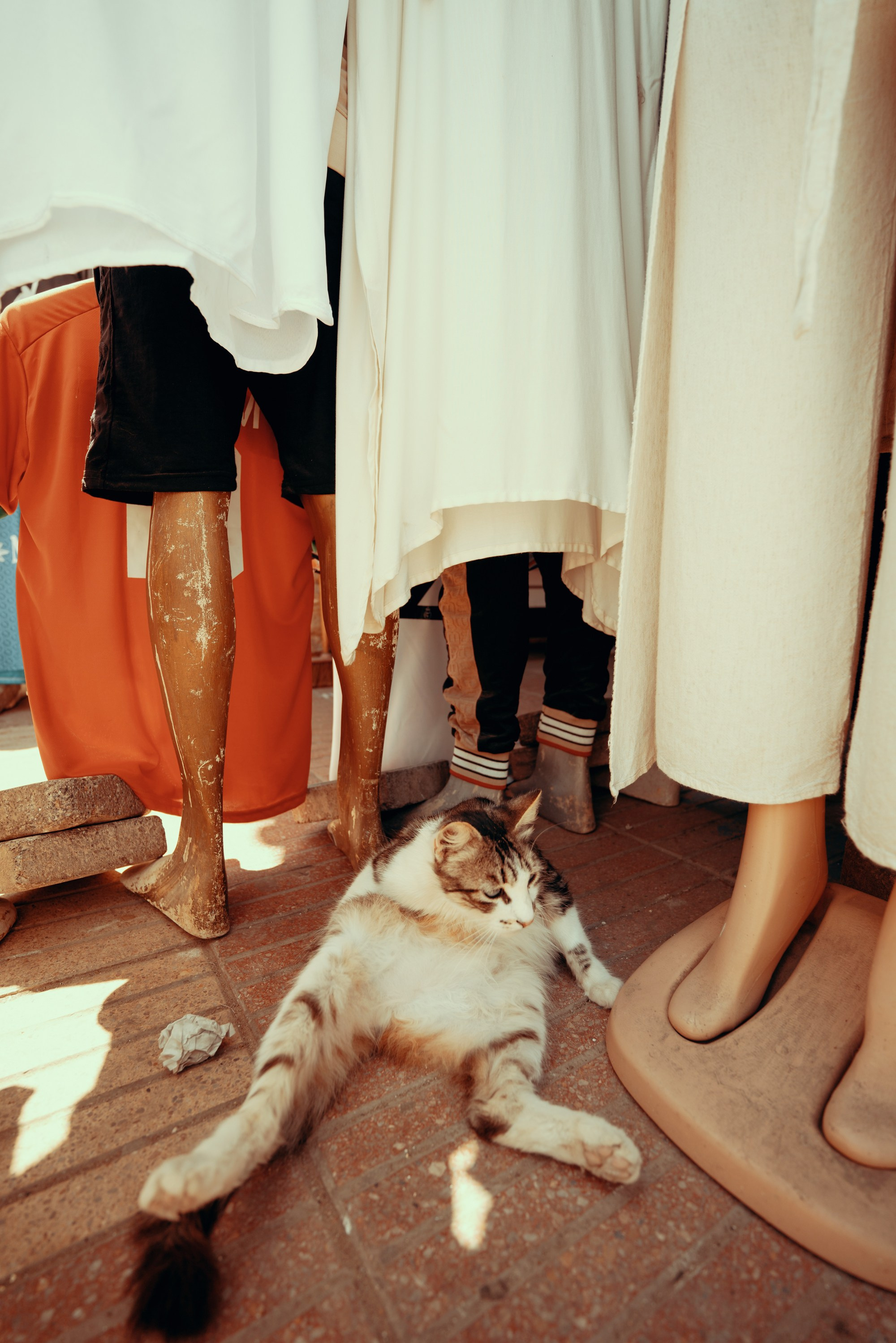 Северная Африка: Тунис, Марокко. Фотограф в Хабаровске. Фотография за 24 часа