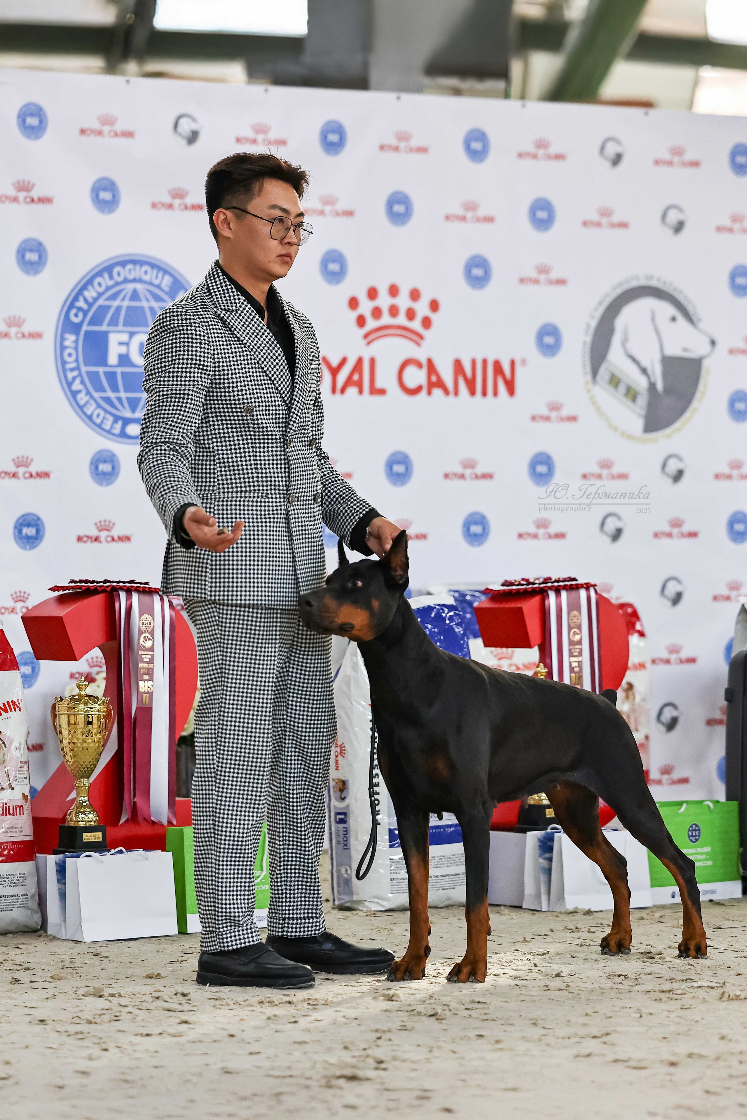 Астана 2хCACIB 26-28.09.2025. Фотограф-анималист Юлия Германика