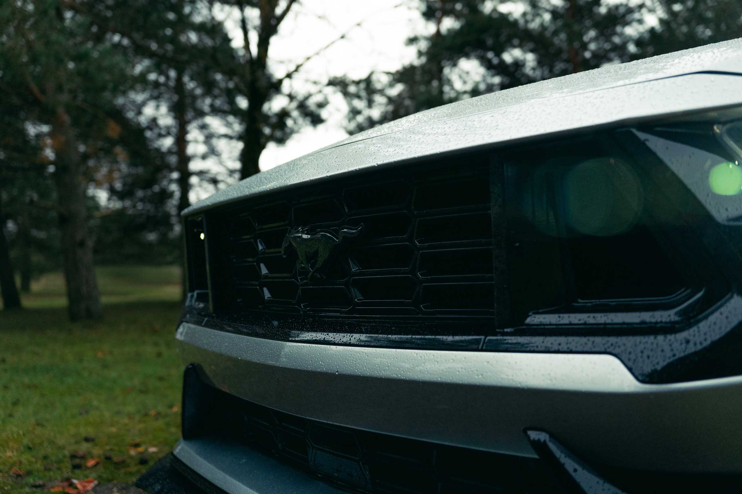 Фотографии Ford Mustang