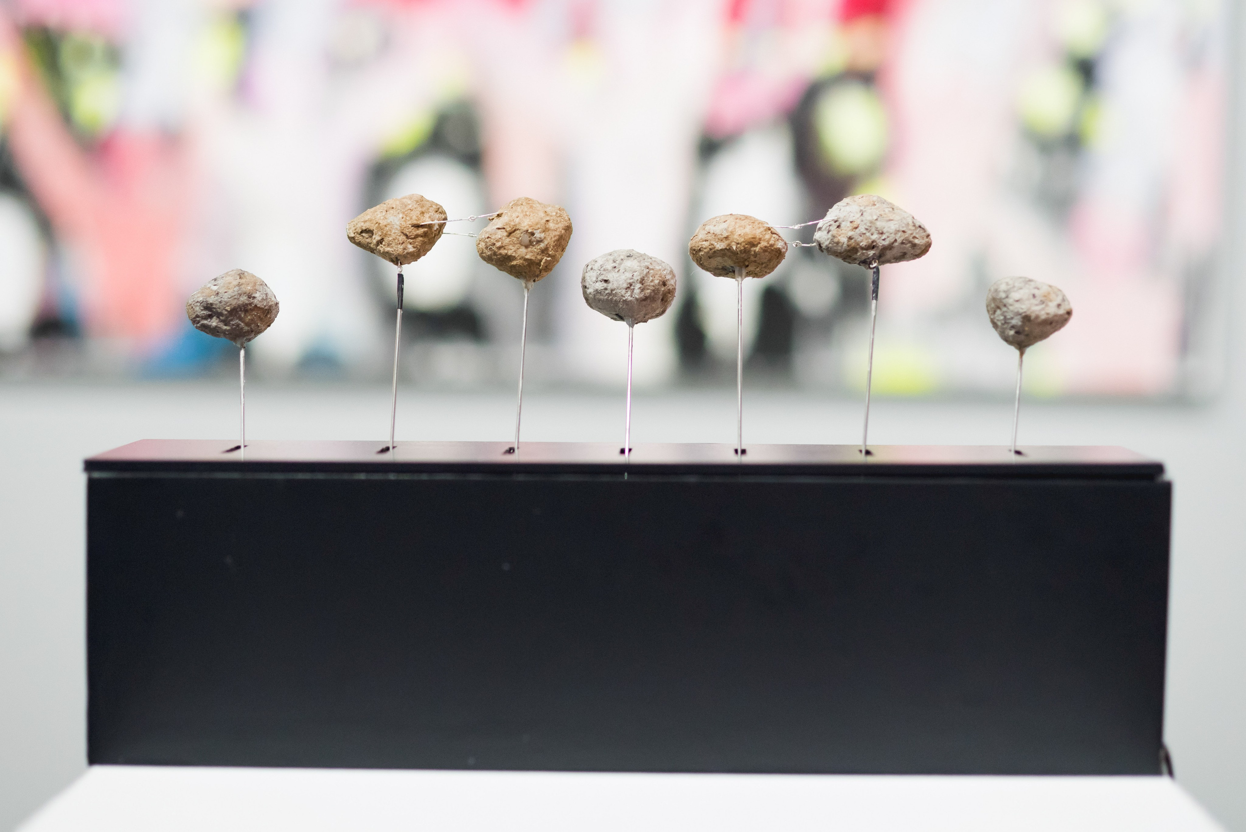 Выставки. Фотограф Руслан Хафизов