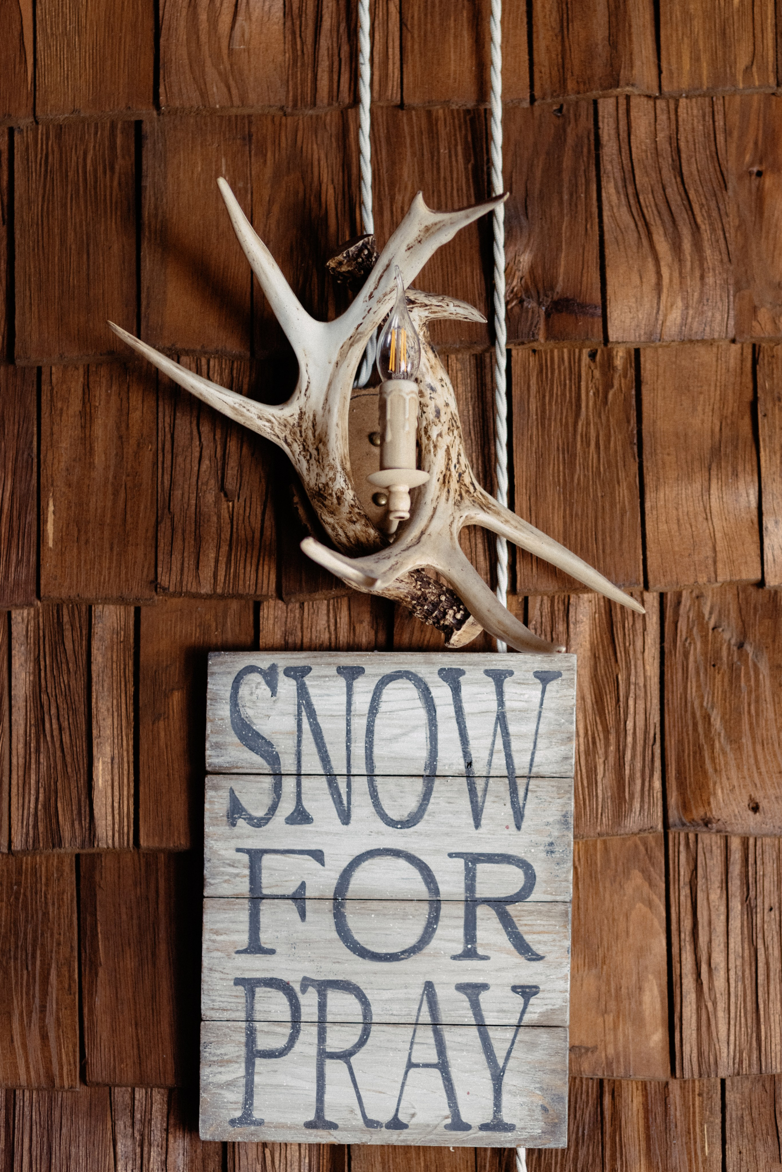 КОНТЕНТ. Главная