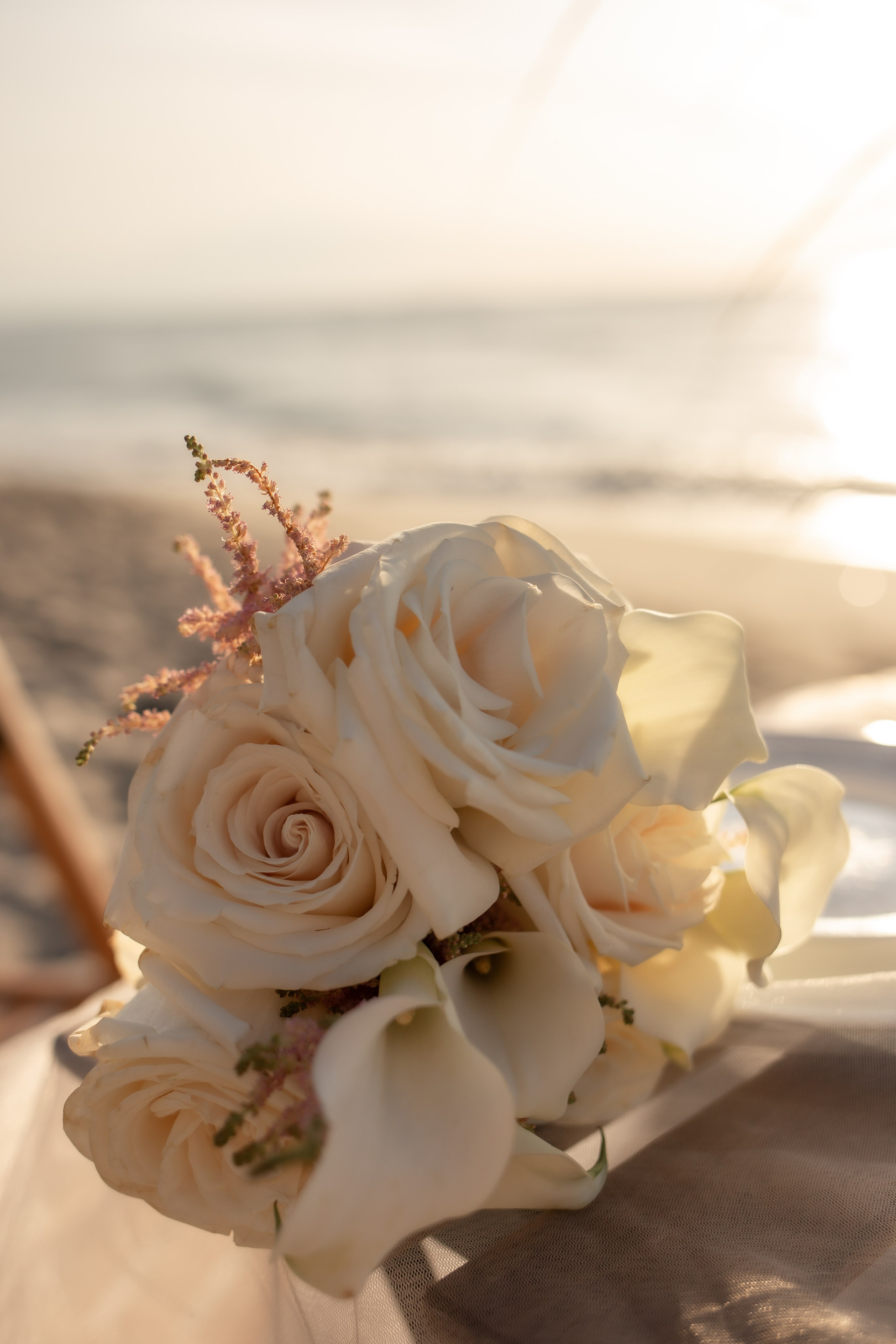 Александра и Влад. На закате. Фотограф в Калининграде Решетникова Алина