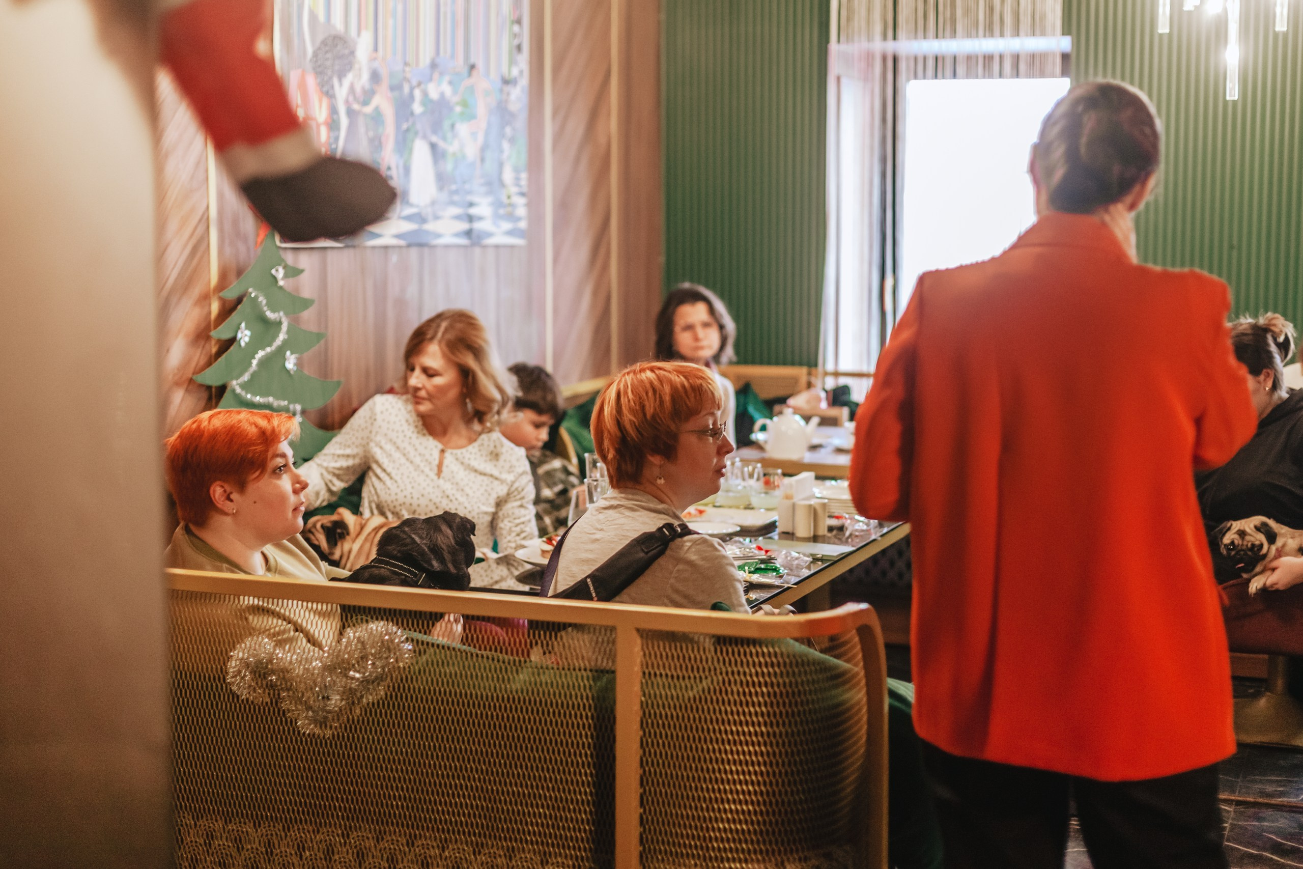 Мопсовстреча 02.12.2023. Фотограф-анималист Татьяна Степанова