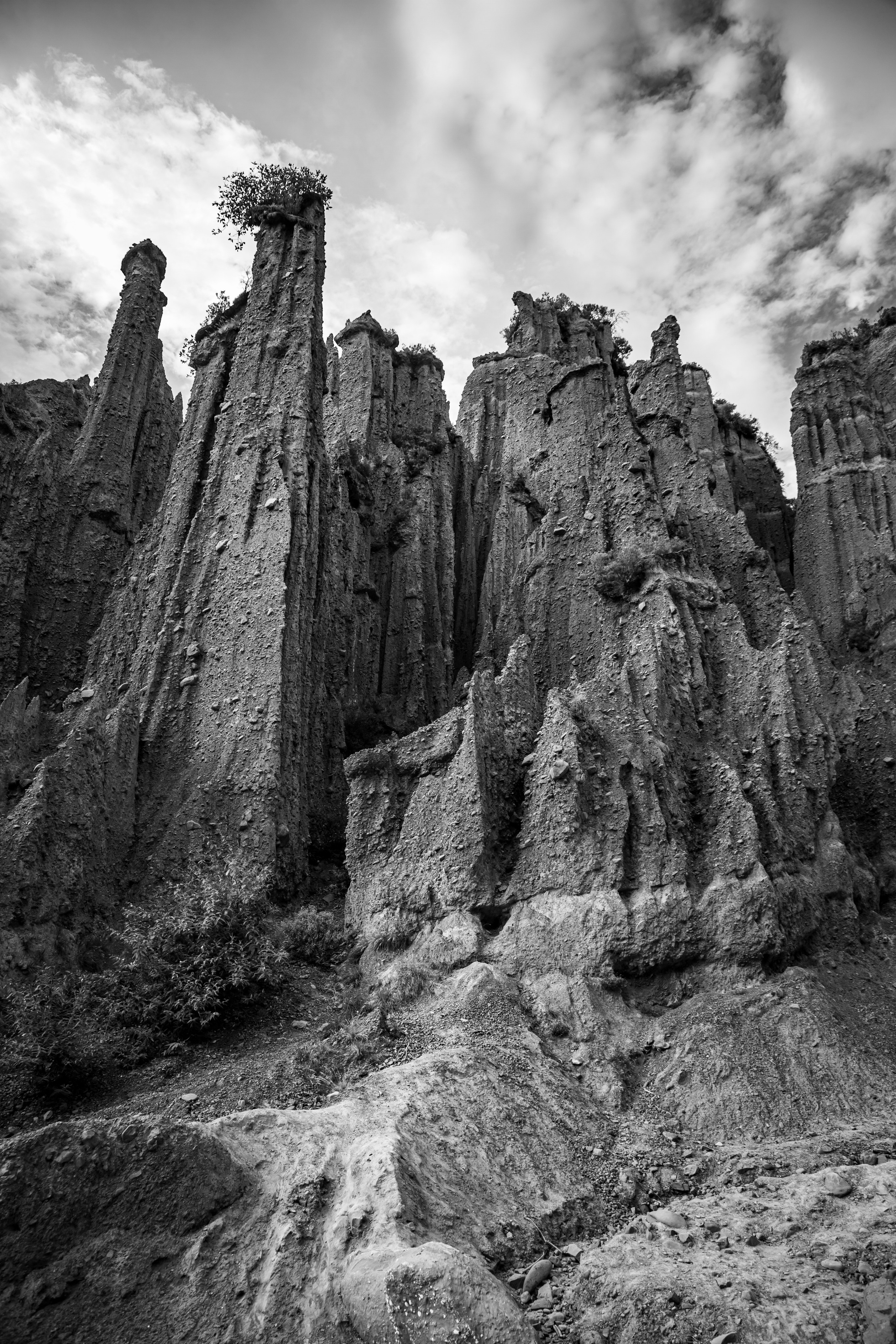 Новая Зеландия. Добродеева Алла фотограф, Москва