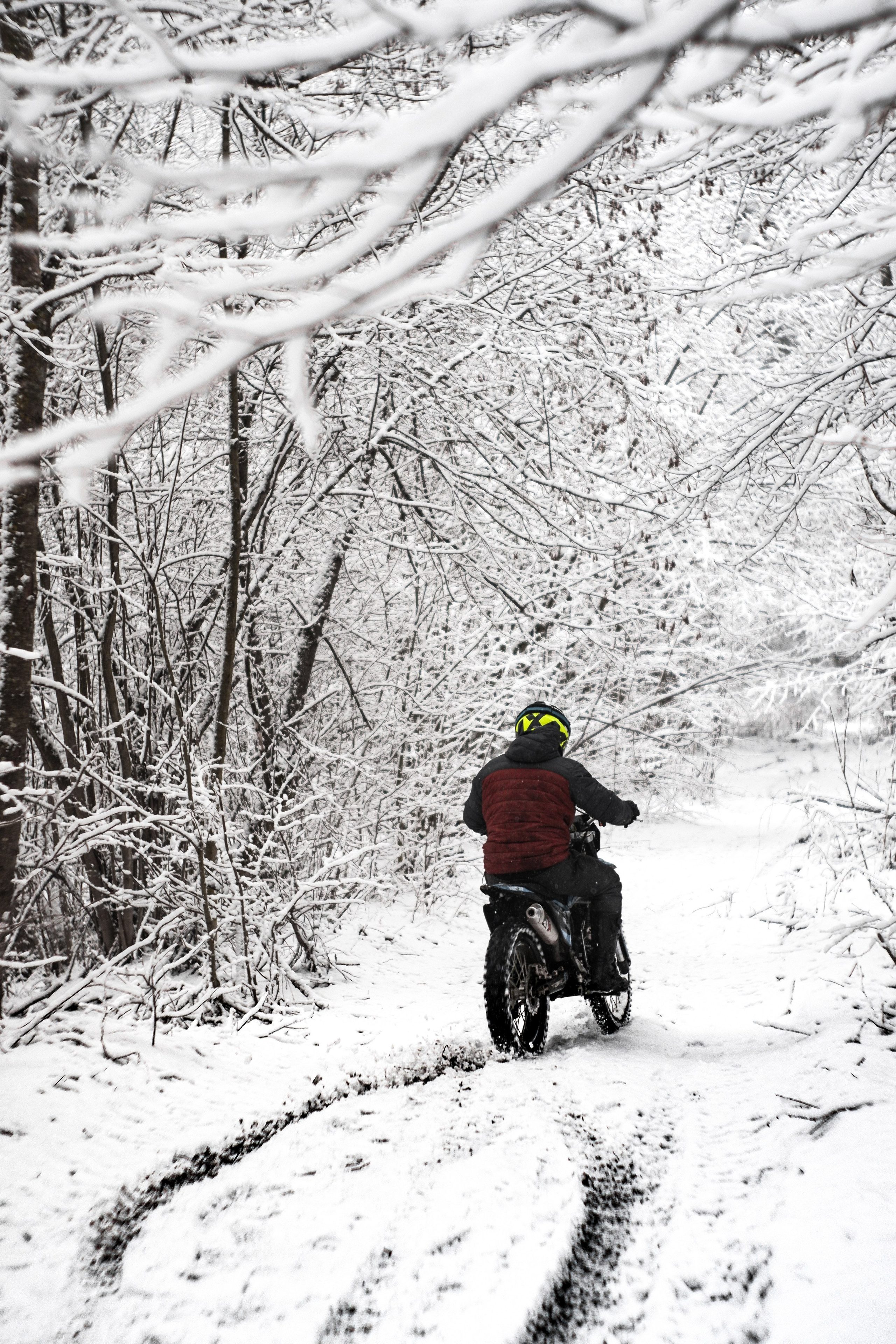 ЧБ  пейзажи (BnW landscape). Фотограф (photographer) Lischinski Vitaliy
