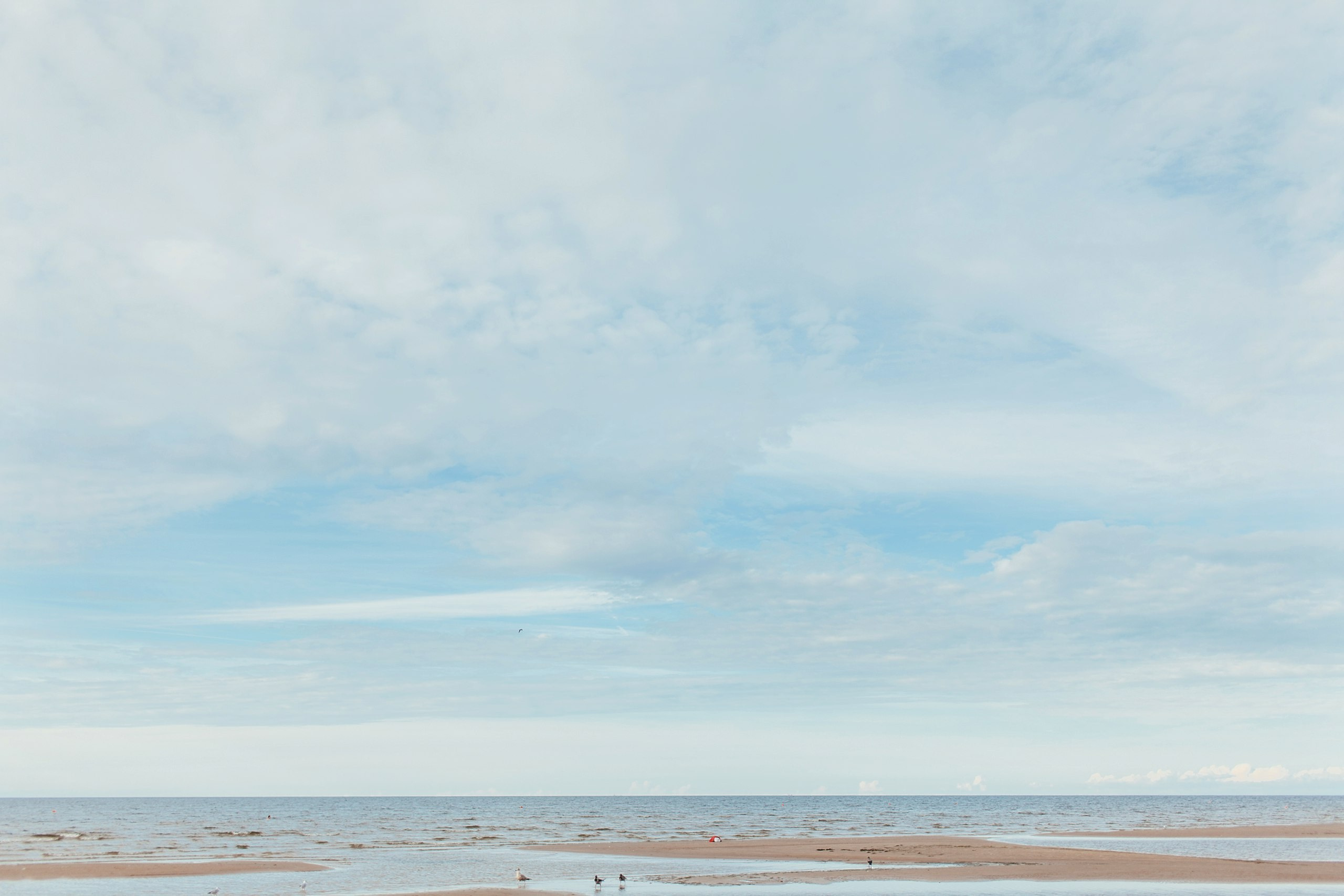 Латвия. Аня Степанова