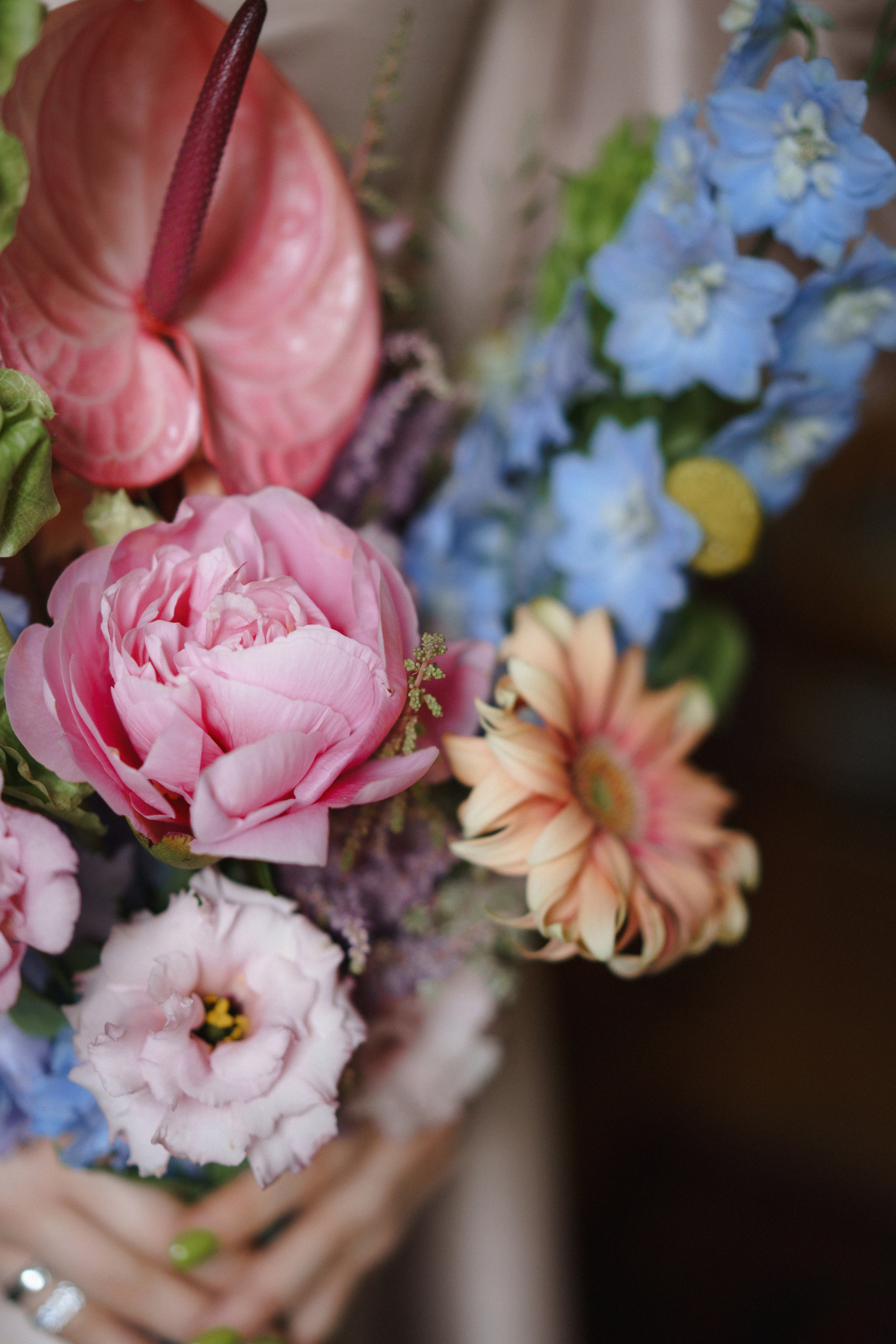 Анастасия и Александр