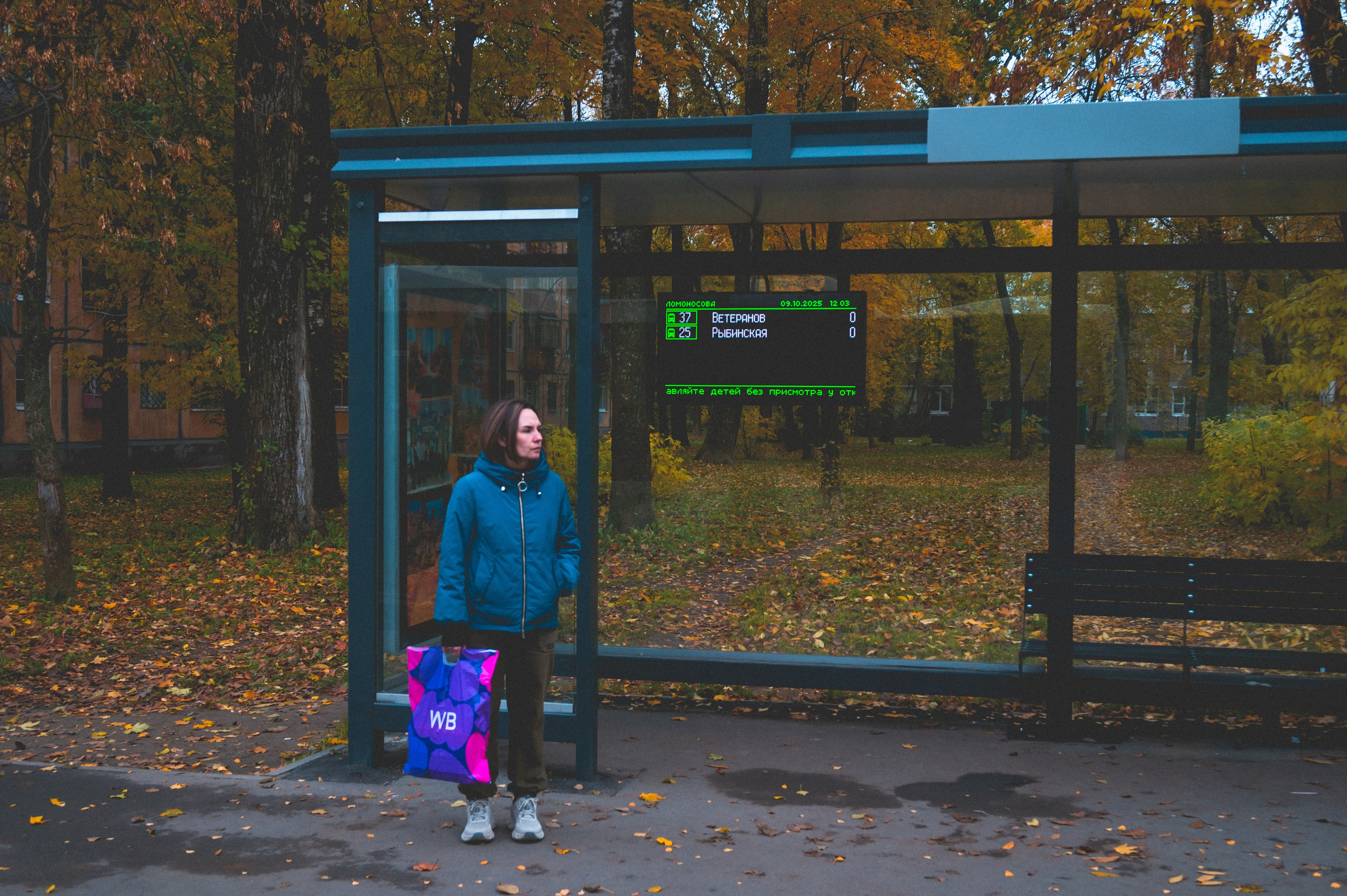 Октябрь 2025. Den Mirov — Фотограф, Музыкант