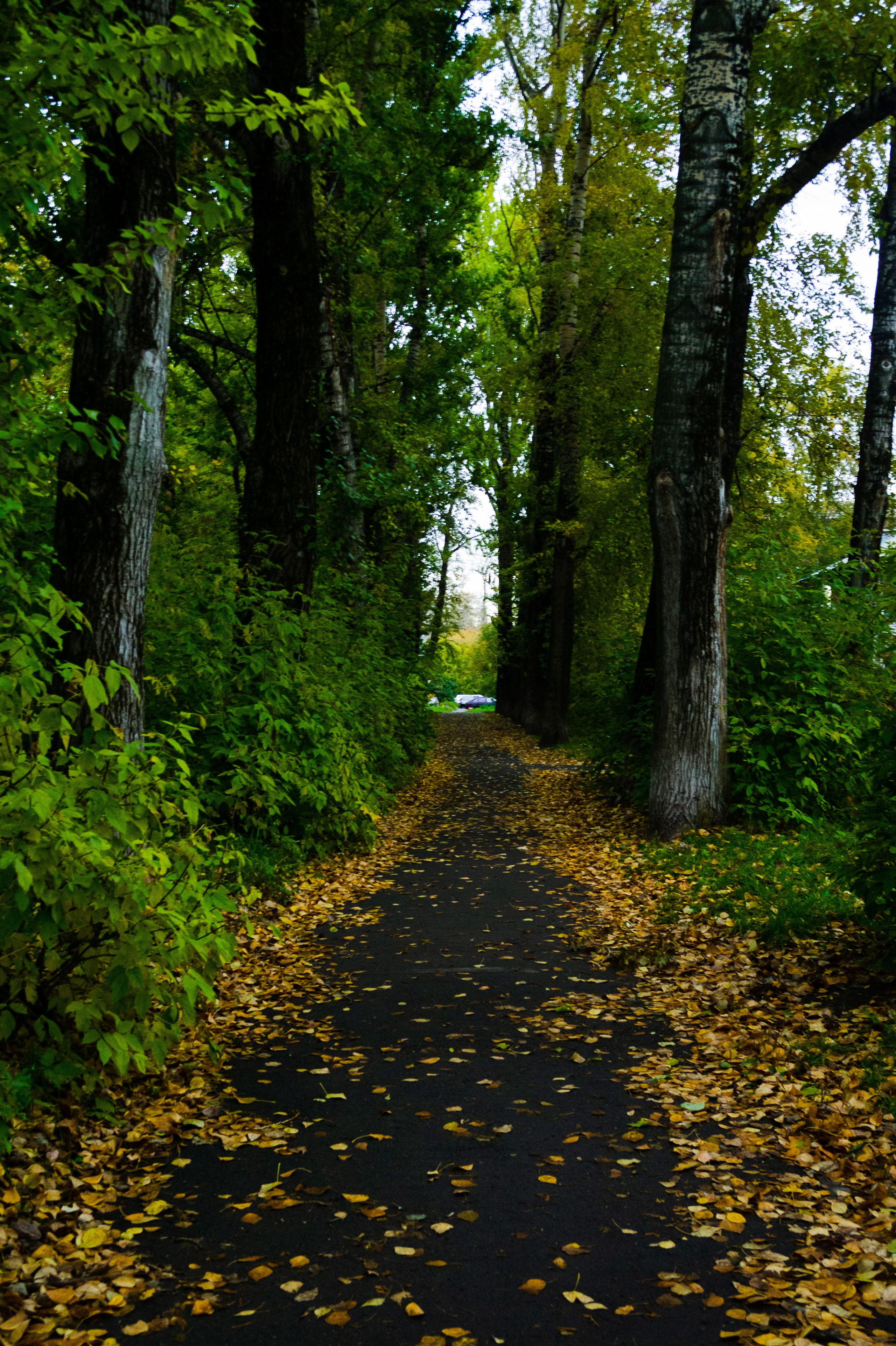 Октябрь 2025. Den Mirov — Фотограф, Музыкант