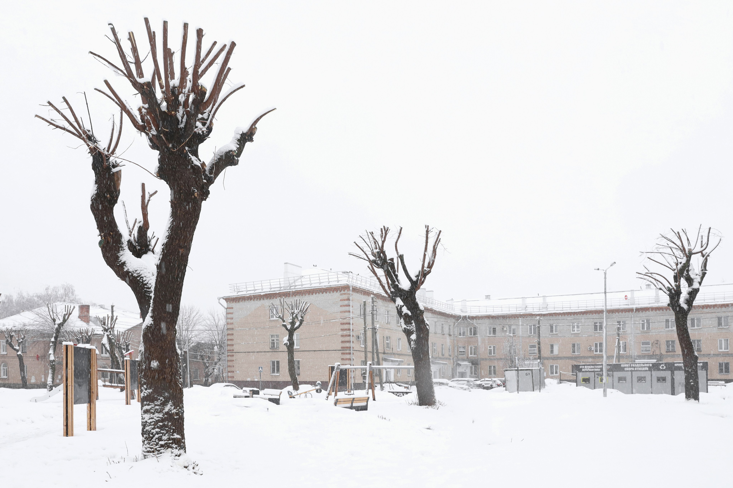 Кронирование. Главная