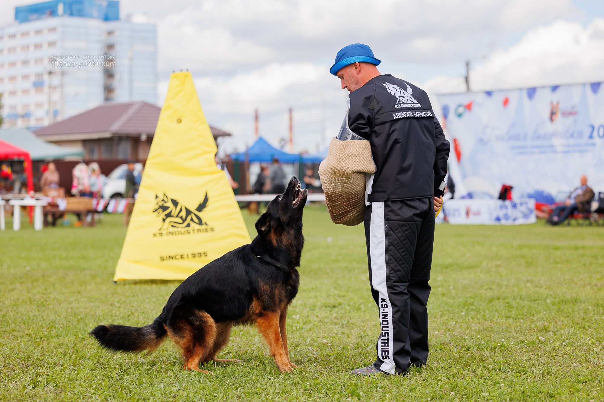 Немецкие овчарки: фото из рингов и вне ринга, мутпроба (фотографии с выставок). Фотограф собак, фотограф-анималист Аня Титова (Titanya). Москва