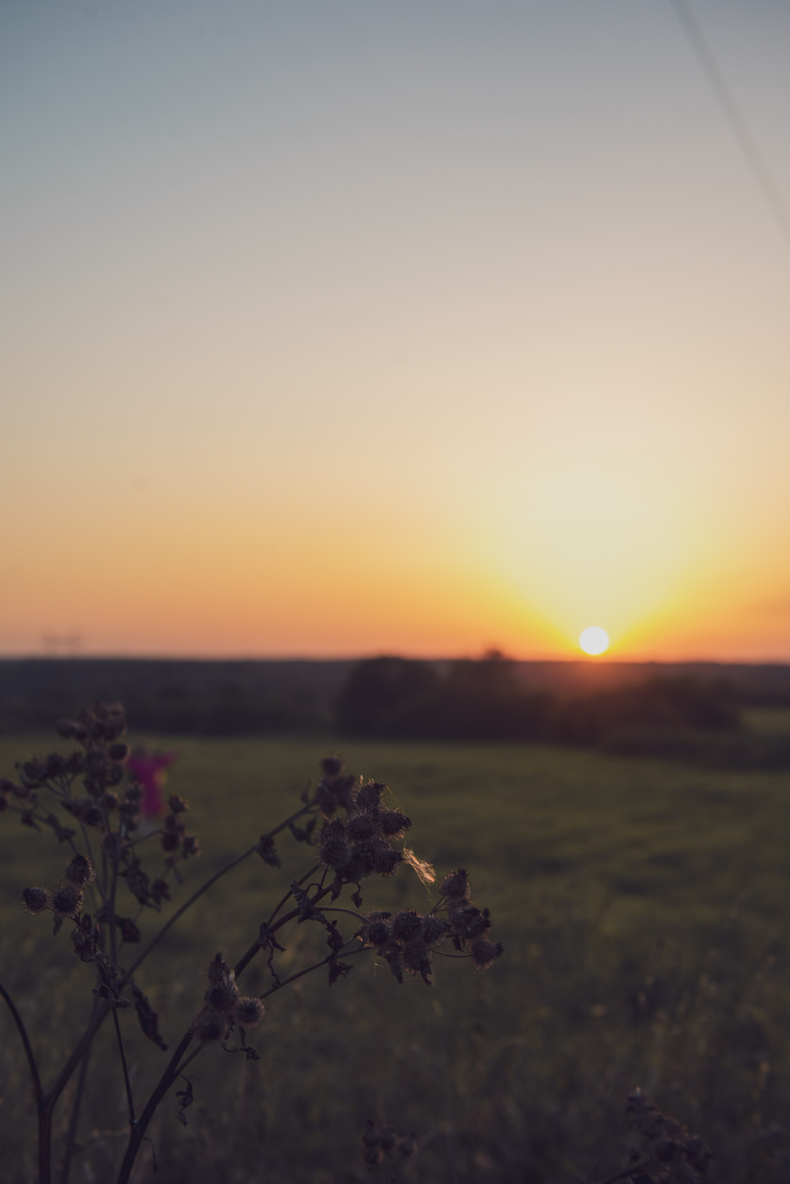 Love story. Фотограф для маркет плэйсов и портретный фотограф Балакирев Дмитрий москва