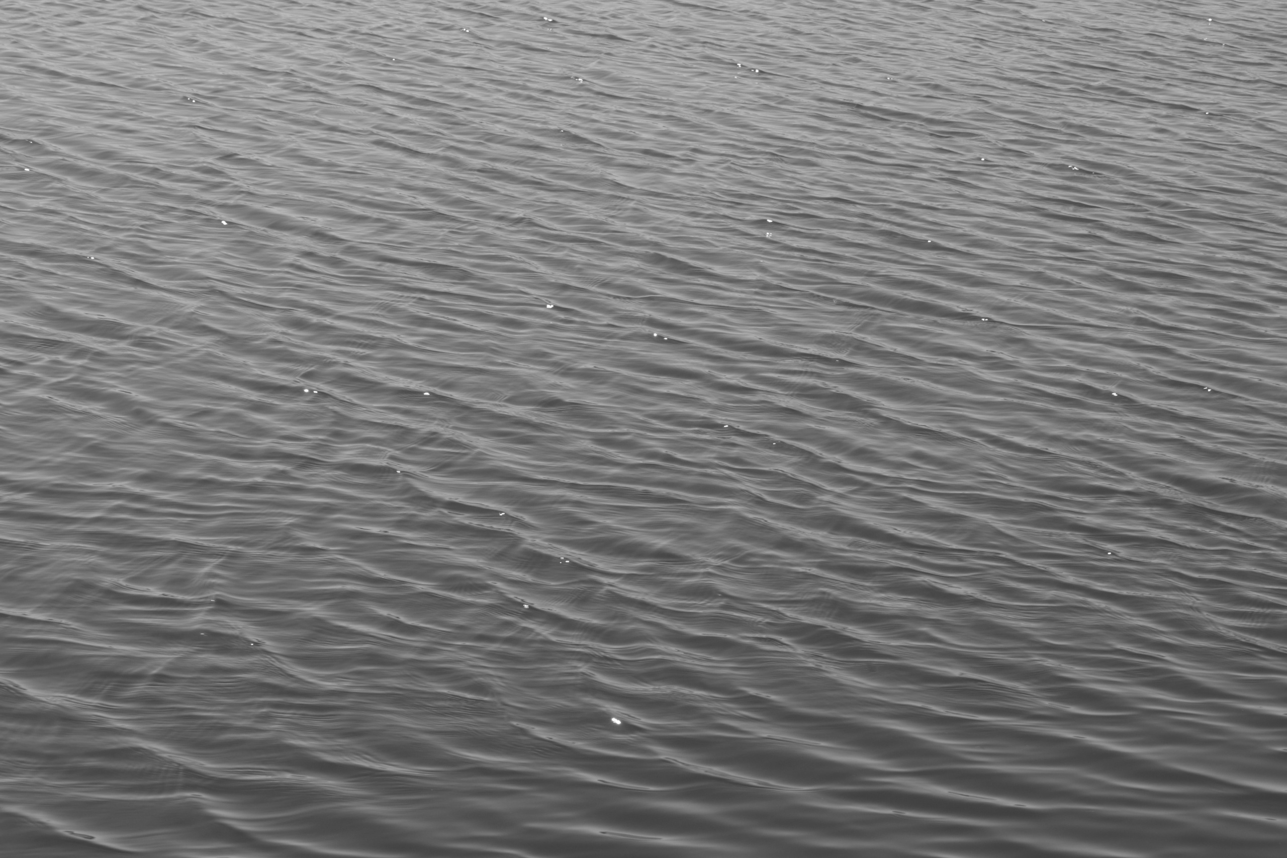 Art prints. Фотограф алина стерхова, алина стерхова фотограф, фотограф москва