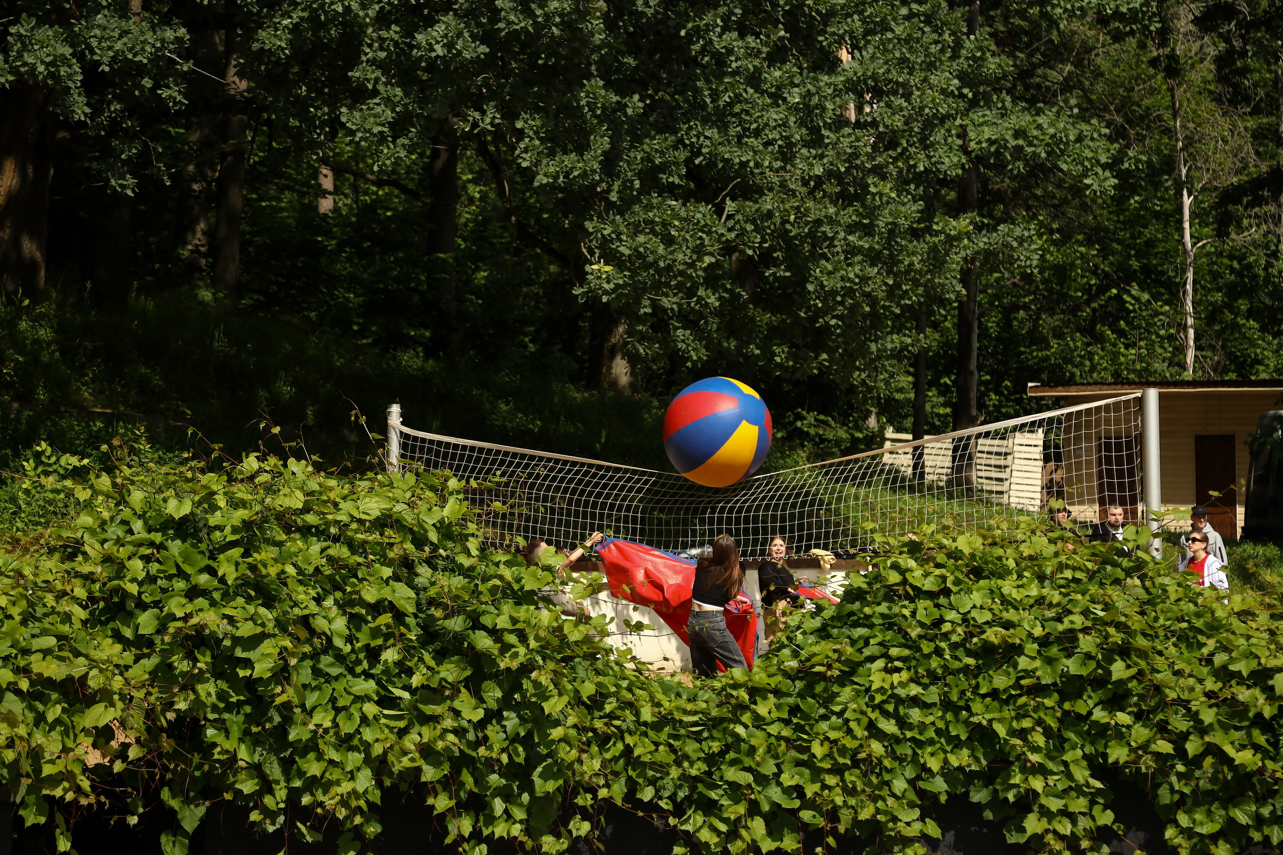 Летний корпоратив Arlight. Фотограф Антон Чупринин