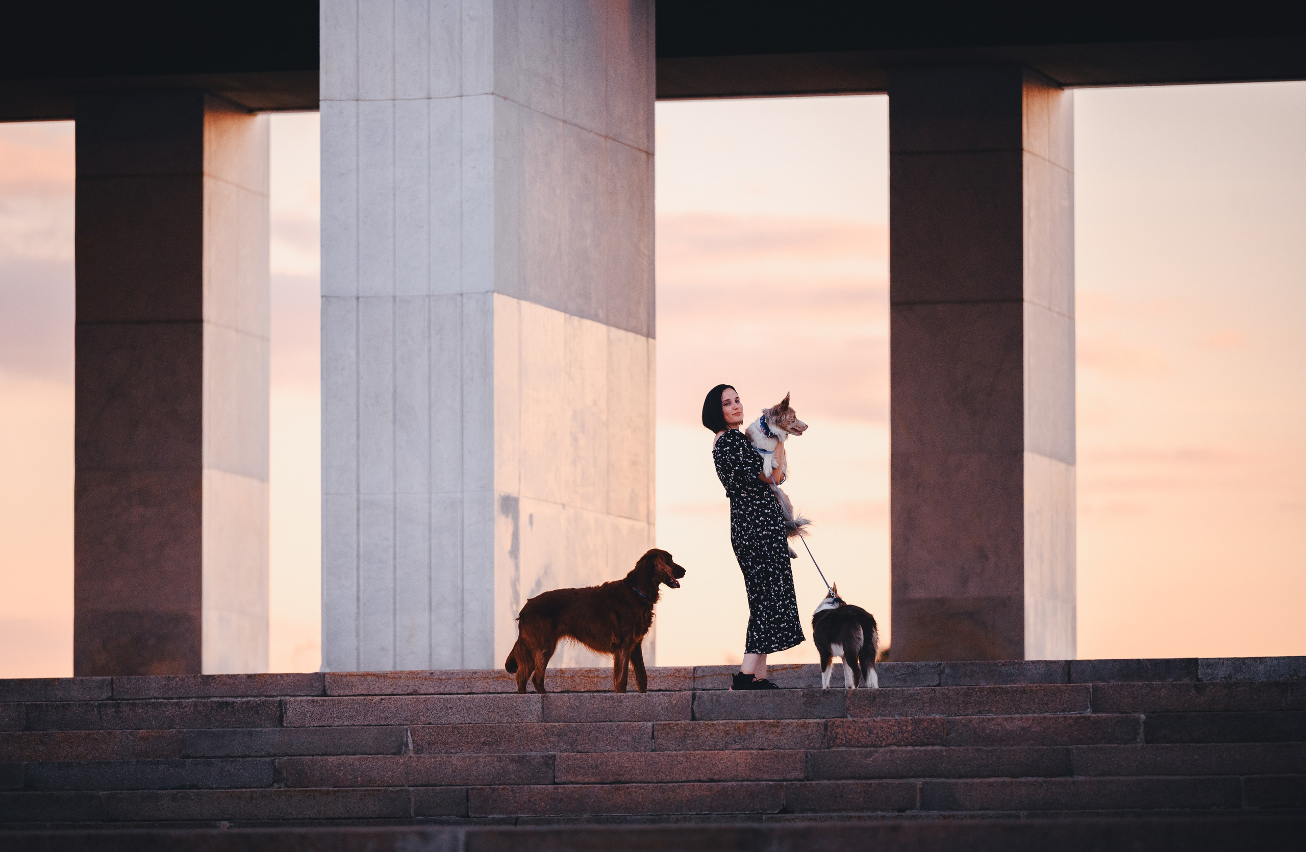 Маша, Лика, Нао и Рафта. Семейный фотограф анималист Ананьева Мария — Москва
