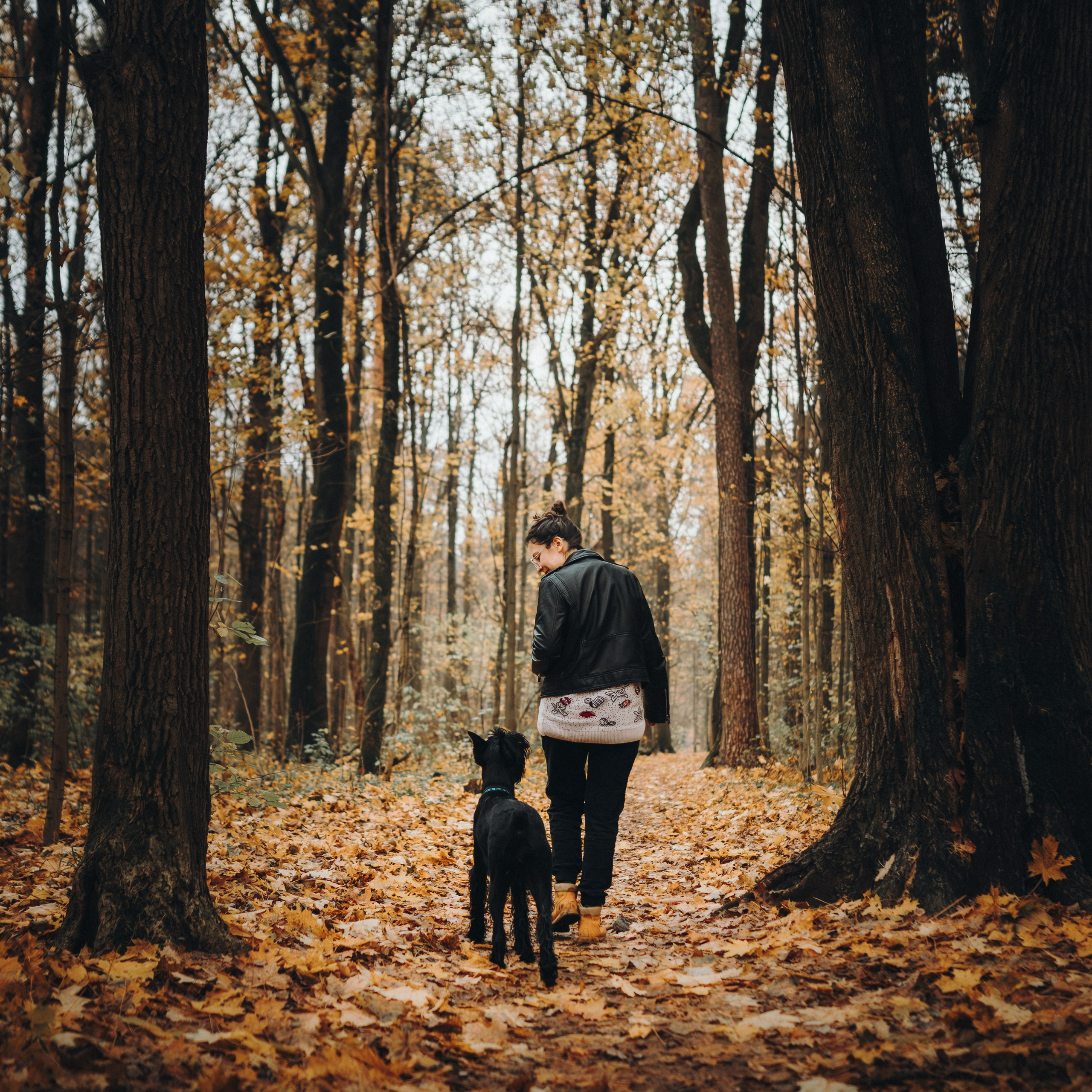 Даша и Умбра. Семейный фотограф анималист Ананьева Мария — Москва