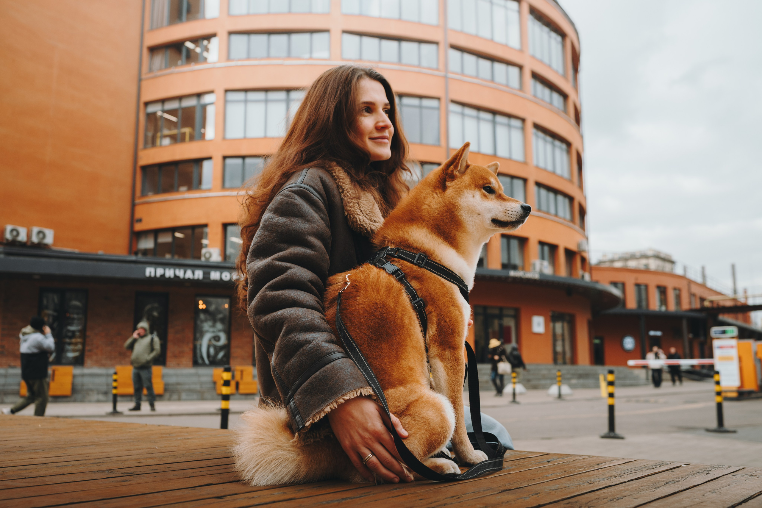 Pawsitive. Семейный фотограф анималист Ананьева Мария — Москва