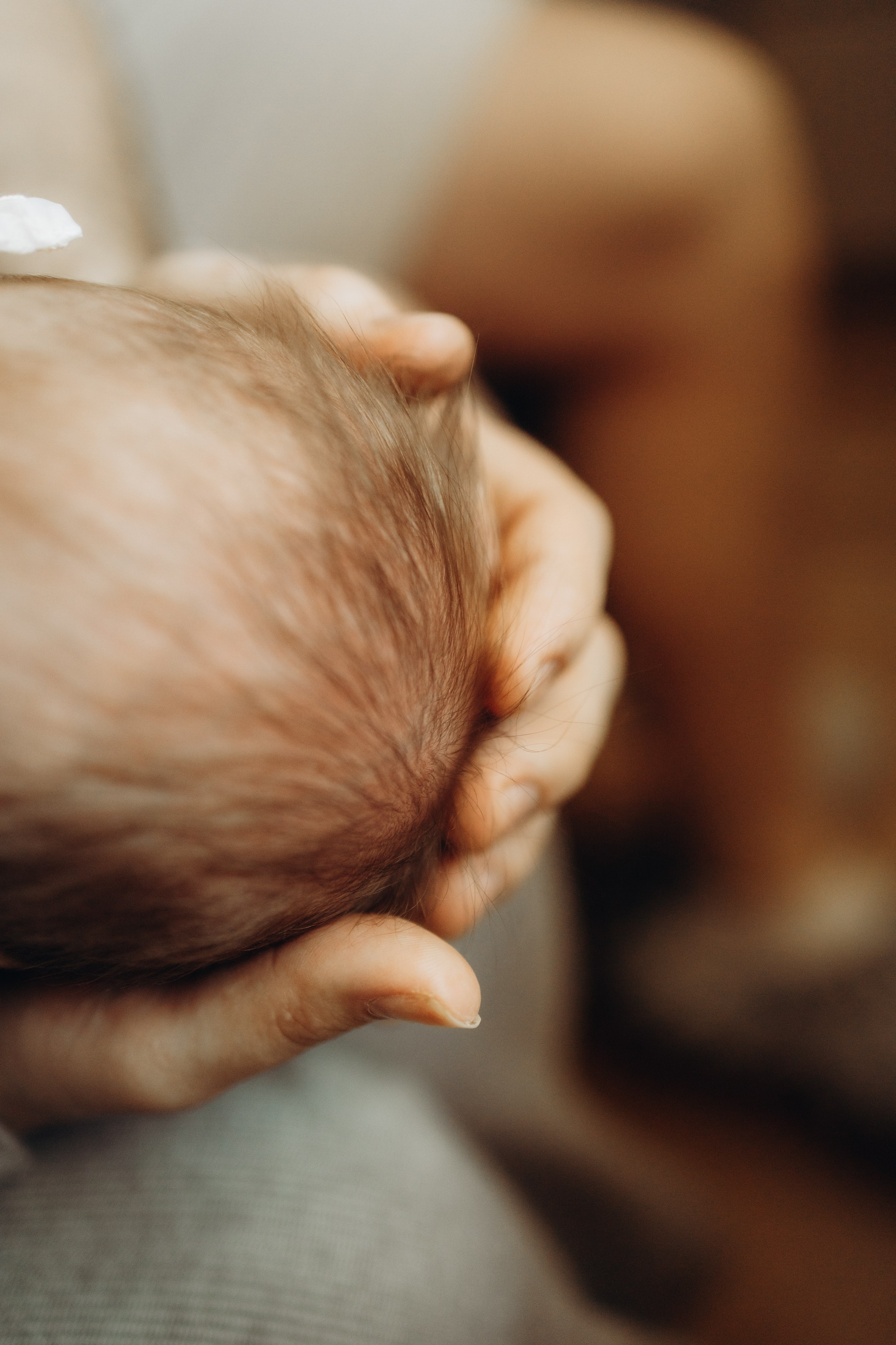 Ньюборн Алиса. Семейный, ньюборн newborn фотограф, фотограф новорождённых в Санкт-Петербурге, Пушкине, Павловске. Павлова Анастасия
