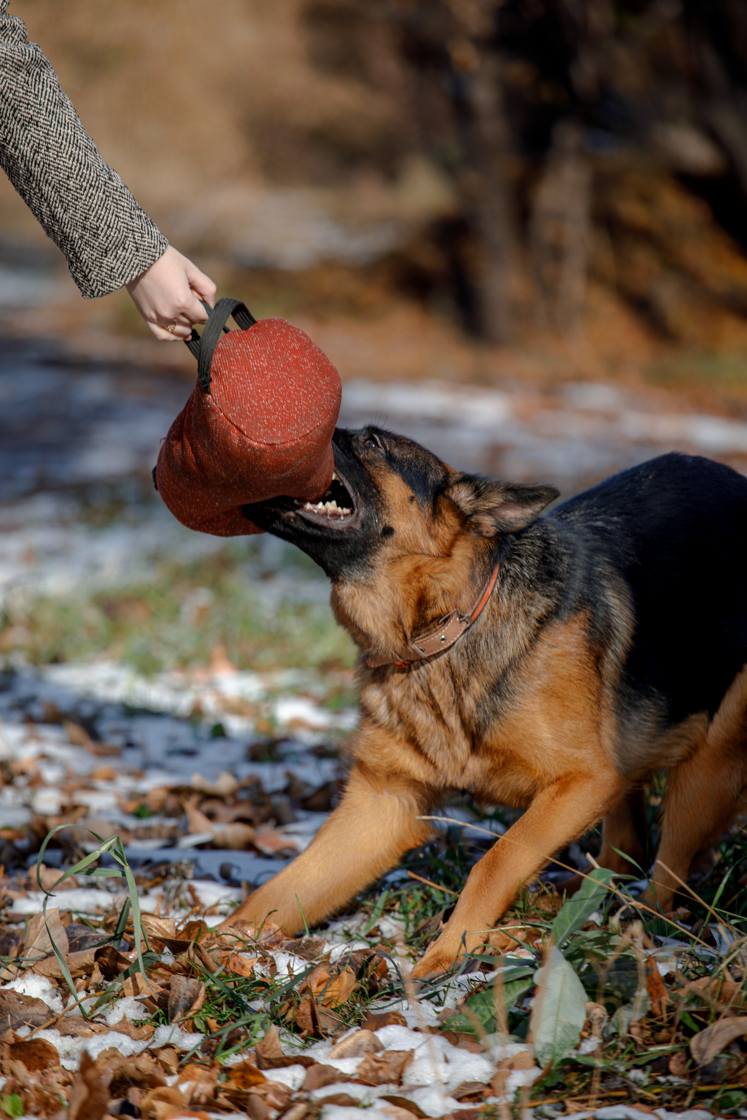 Ди и Джема. Фотограф Екатерина Козловская