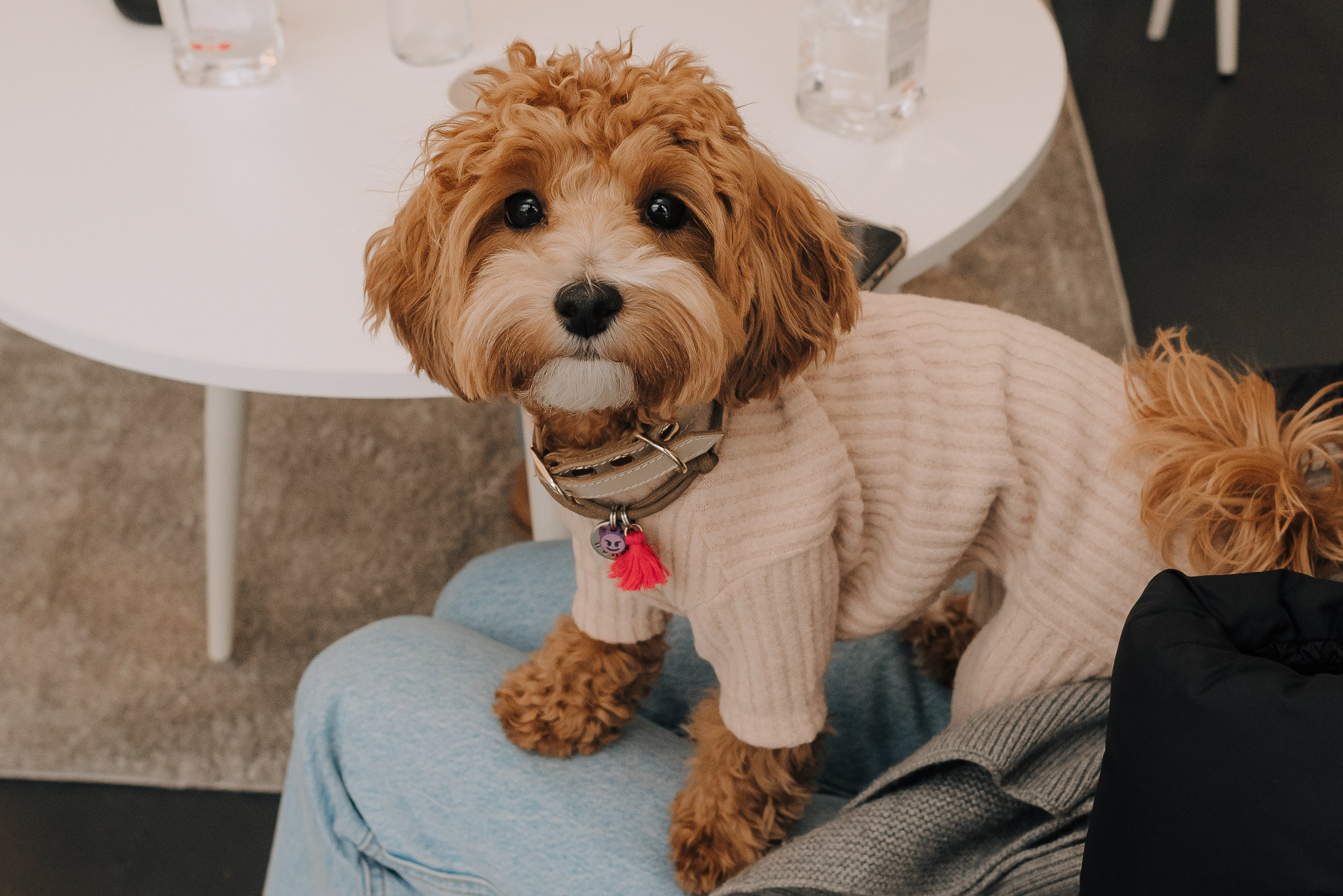 HAVAL ROAD SHOW. Репортажный фотограф Зуев Роман г. Челябинск