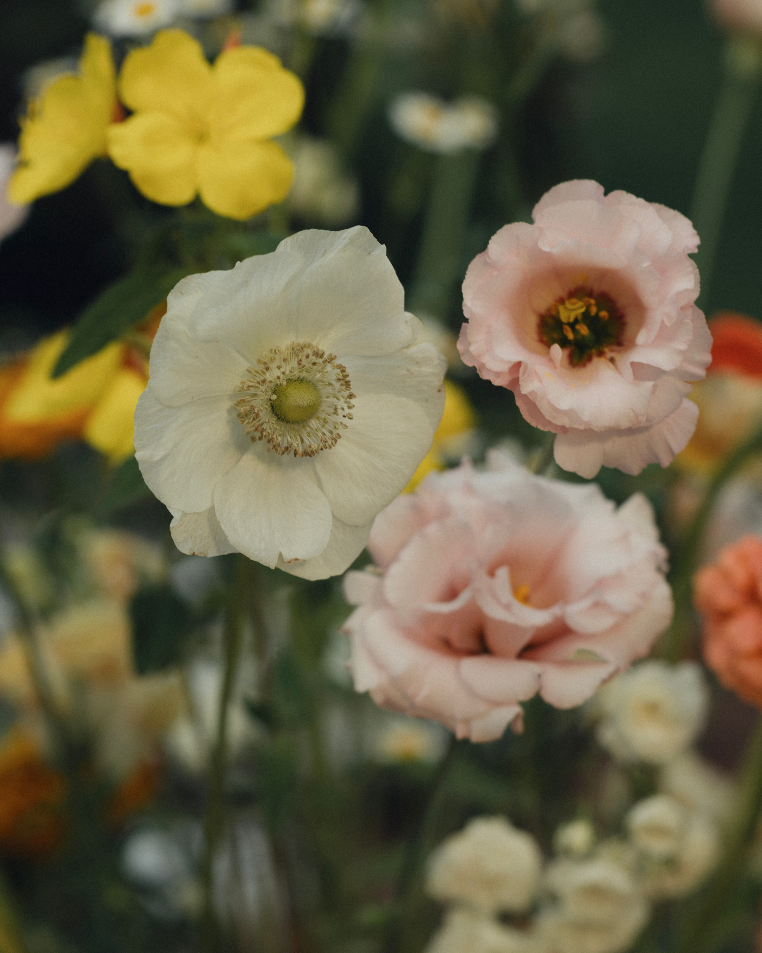 ЭТО БЫЛО РОМАНТИЧНО!. Свадебный фотограф в Москве Мария Кривоногова