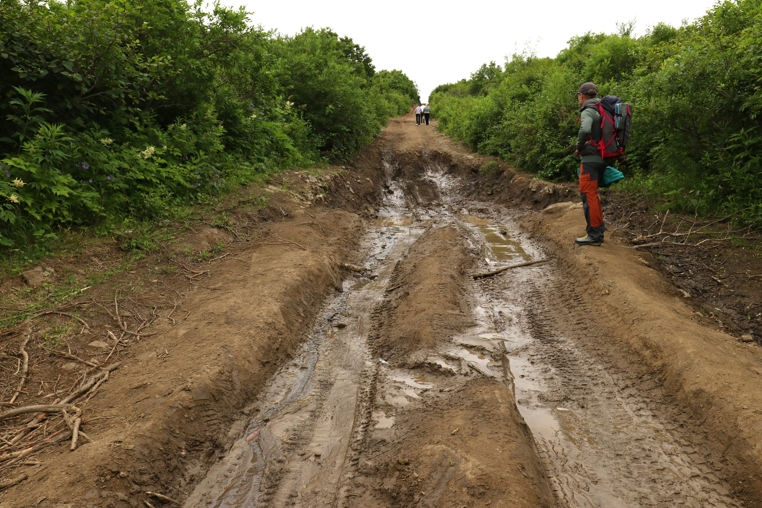 Камчатка и о. Парамушир. Июль 2024. Путешественник-фотограф из Санкт-Петербурга Татьяна Свистулина