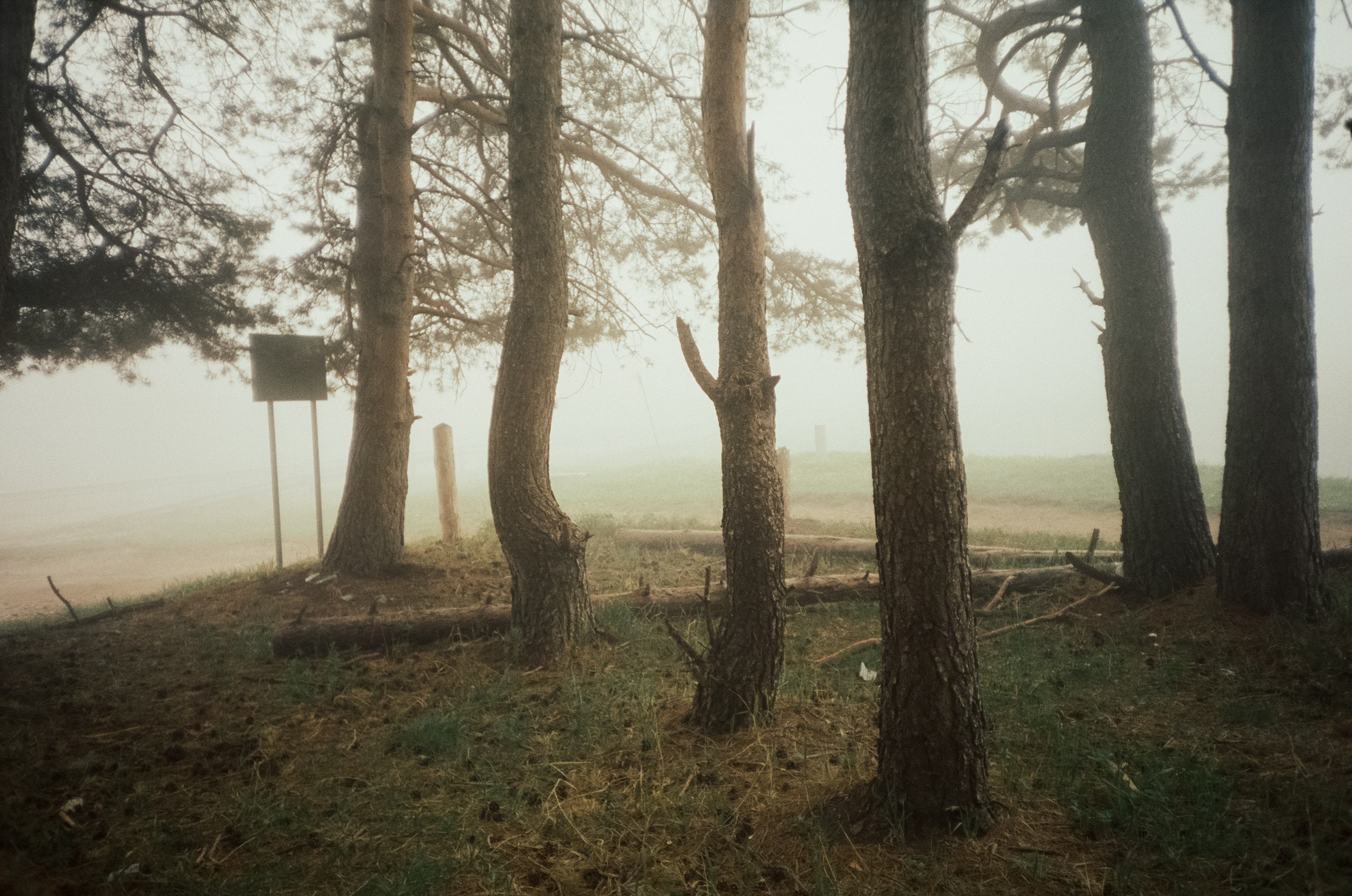 Дорога к Джилы-Су и лошадки в тумане. Фотограф-документалист Мария Осокина