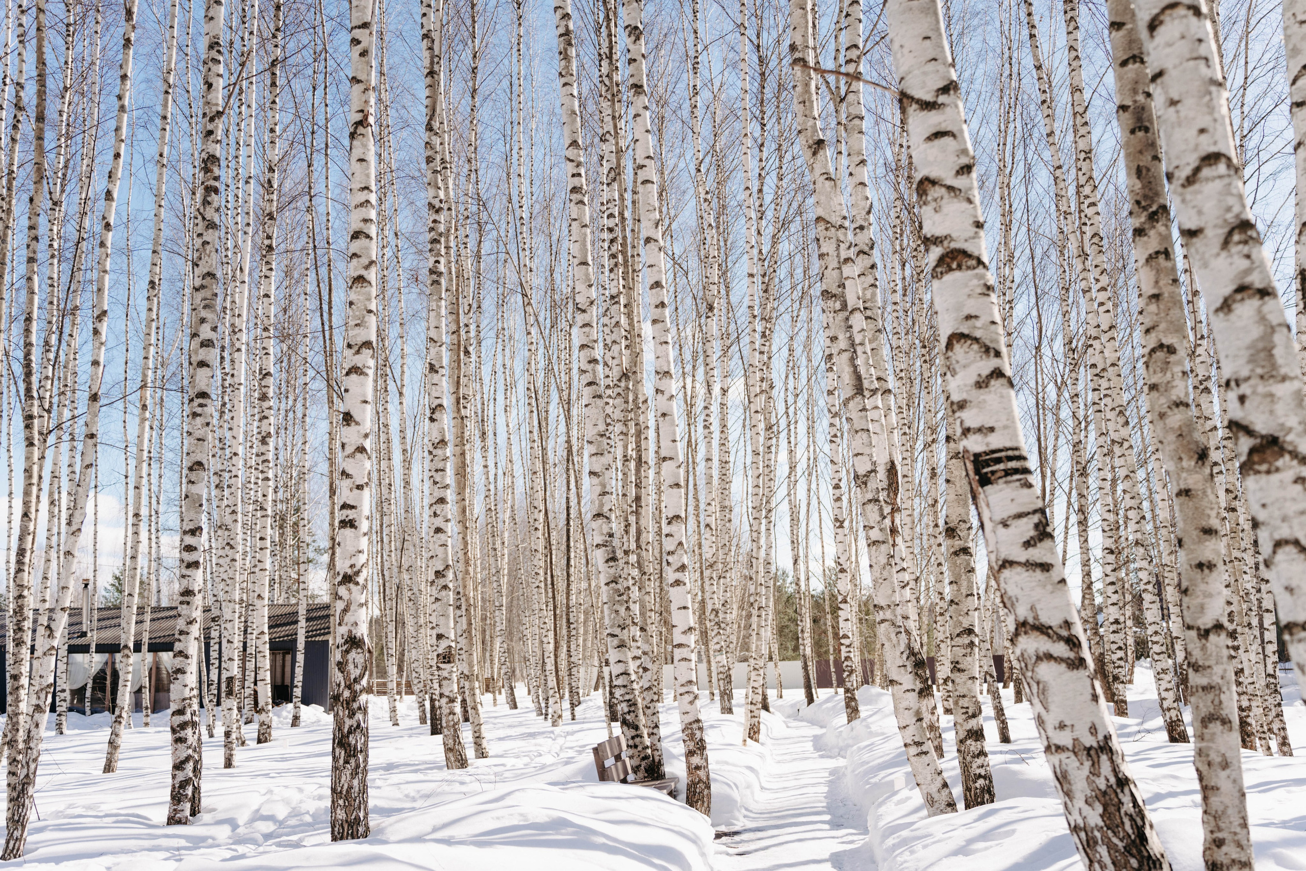 Междуречье|Экоотель. Фотограф Абакумова Анастасия