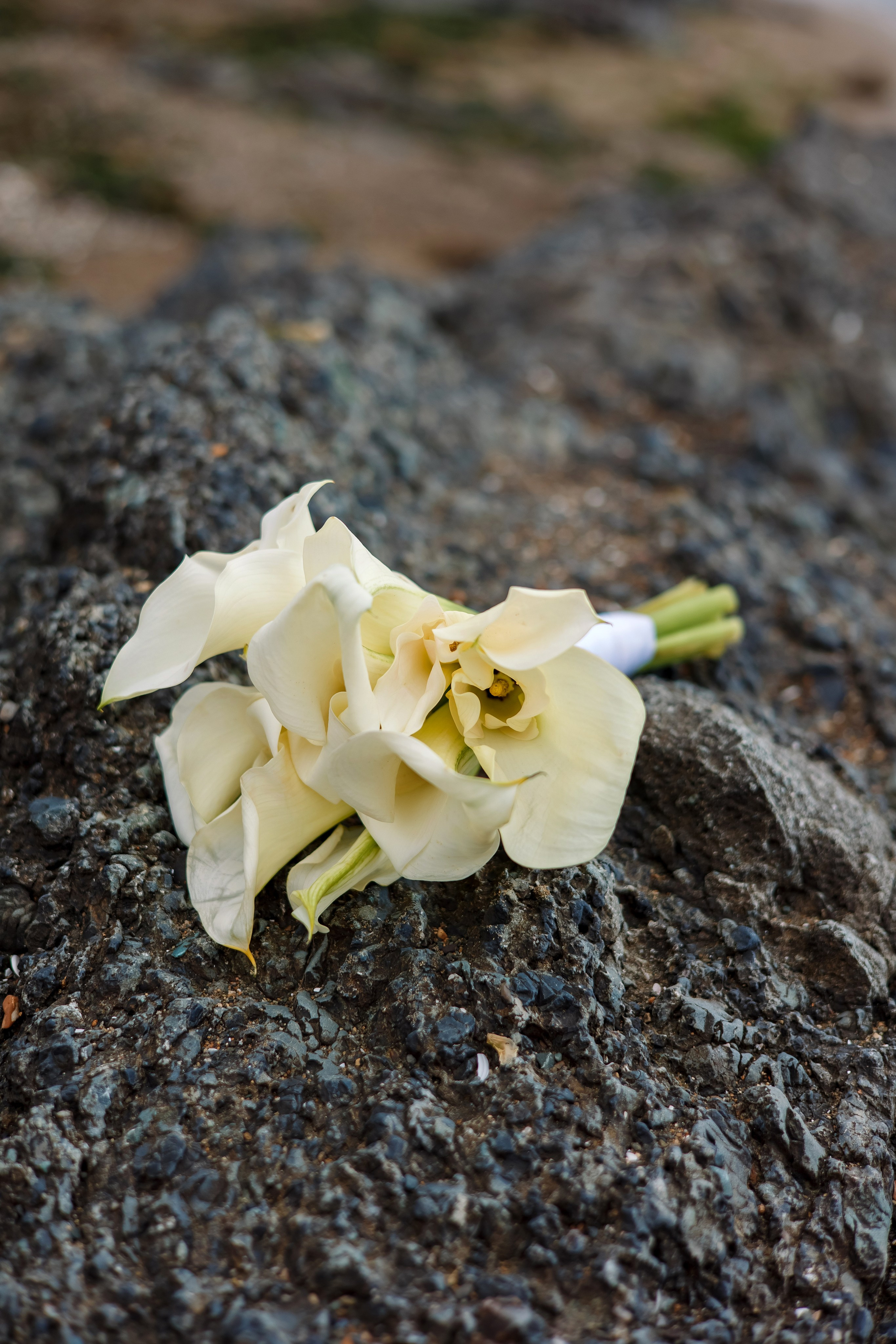 Наталья & Алексей. Фотограф Любовь Корниенко, Примоский край