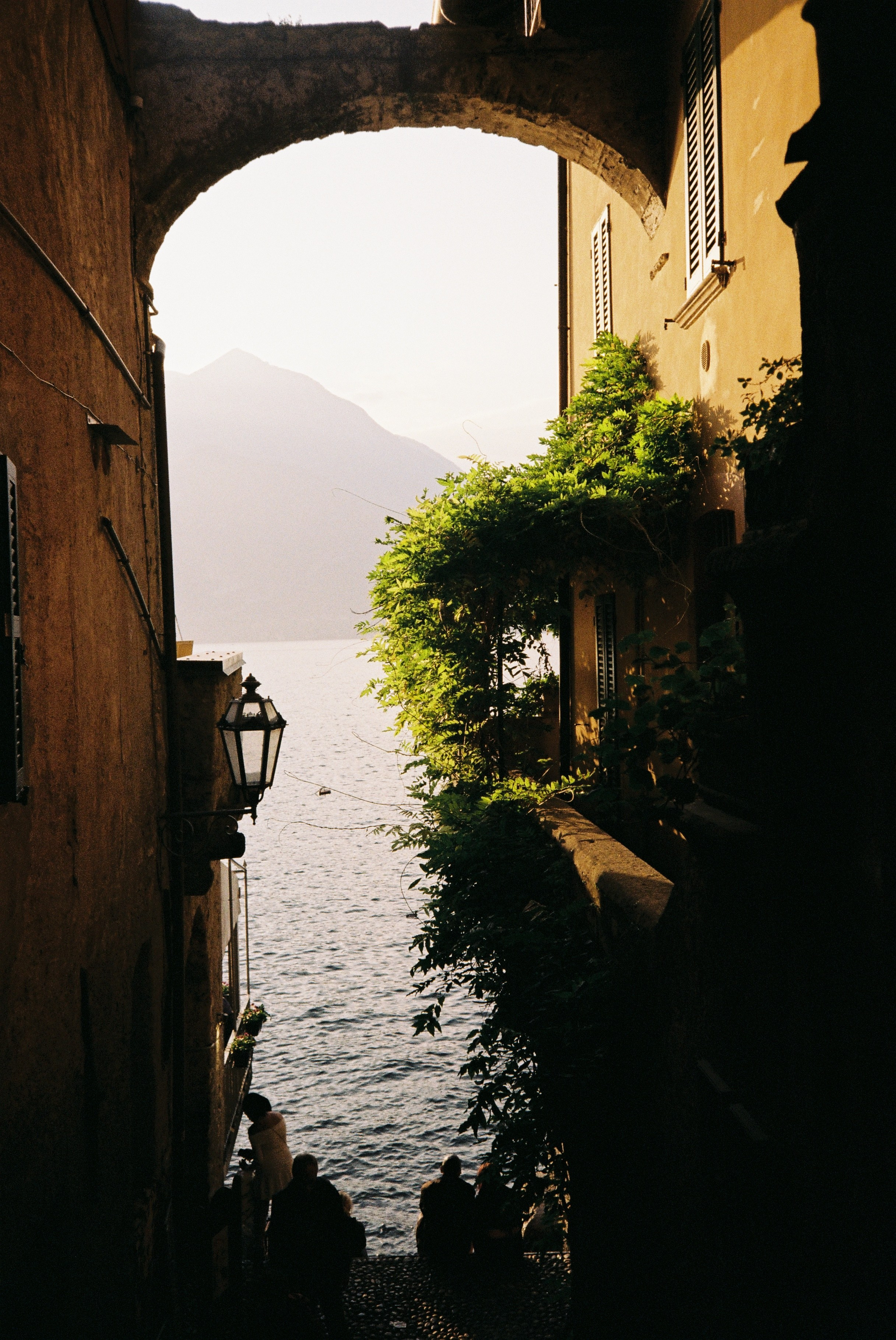 Пленка. Свадебный, репортажный и семейный фотограф в Москве Арина Зак