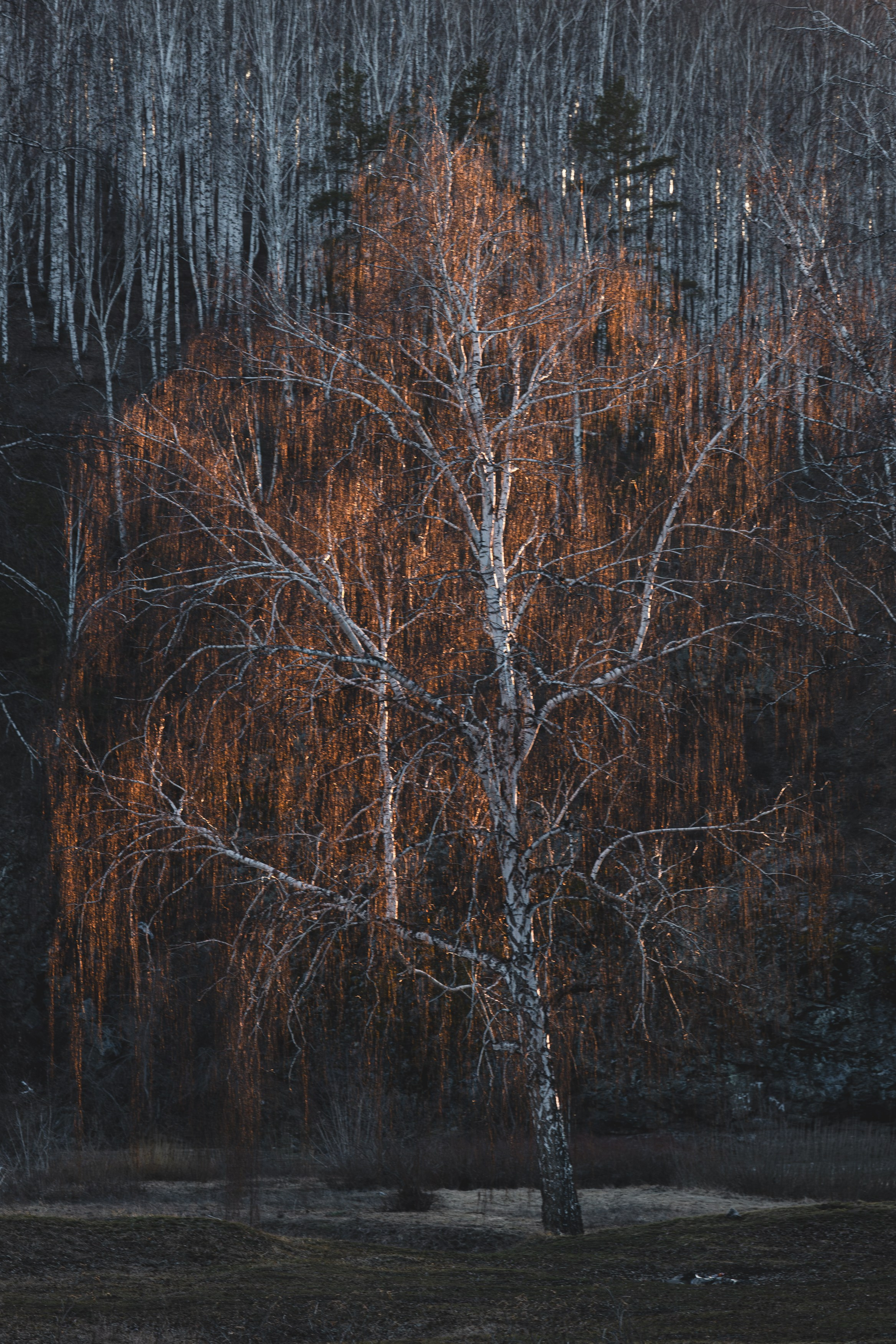 Природа. Репортажный фотограф. Из России с любовью