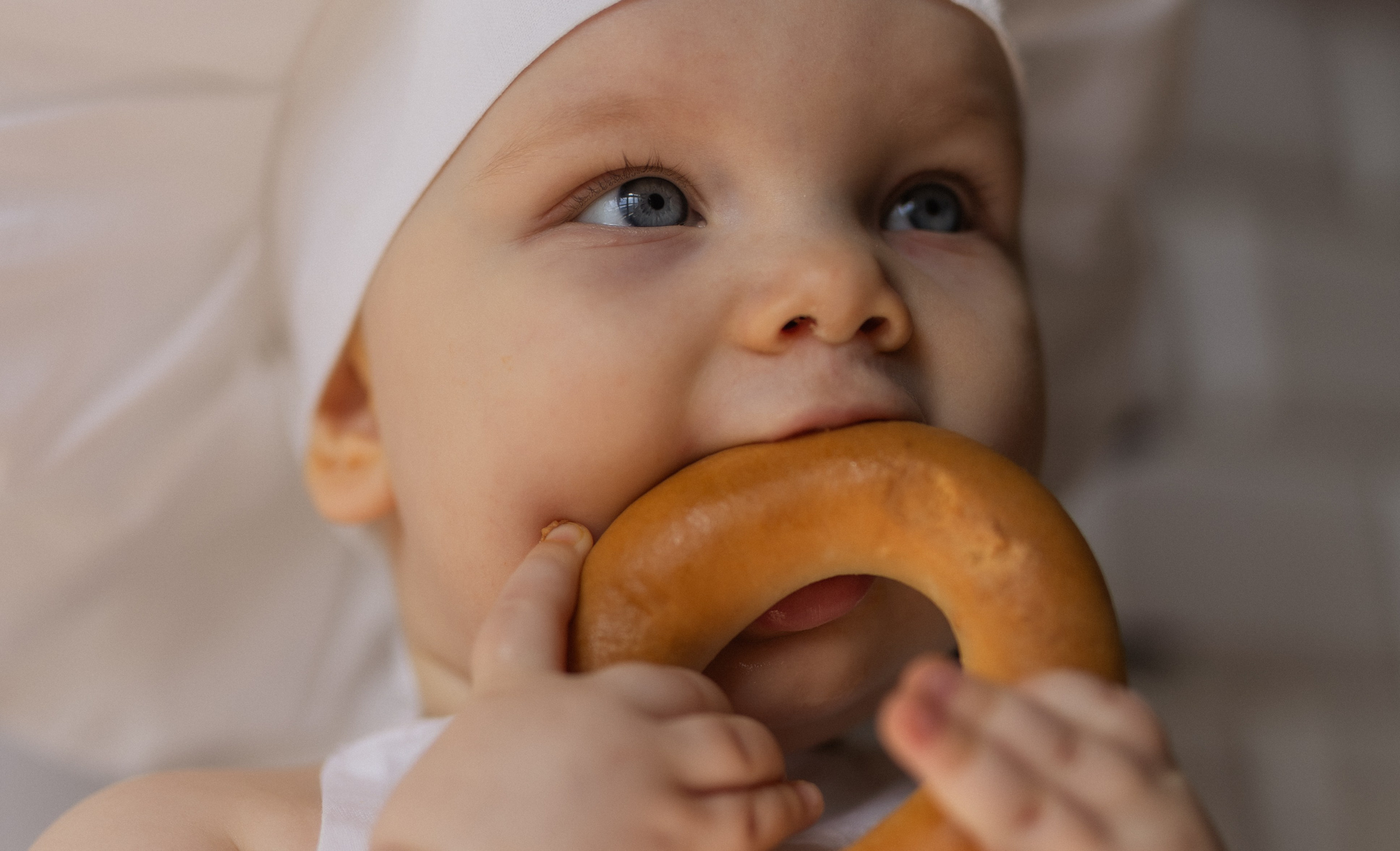 Поварята. Фотограф в Нижнем Новгороде, Дзержинске Олеся Хозяева