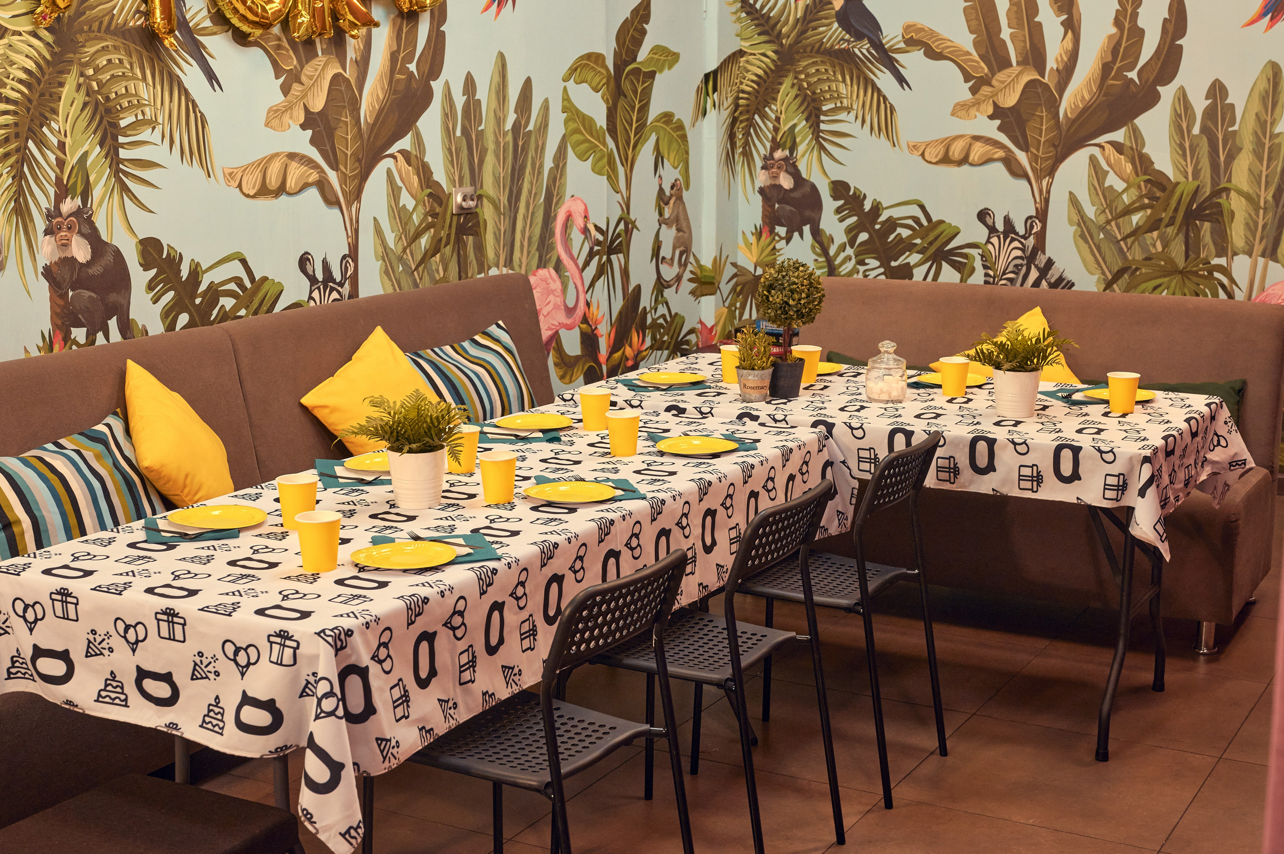 Чеширский Коd — 5 локаций. Фотограф Яковлев Роман — Красноярск