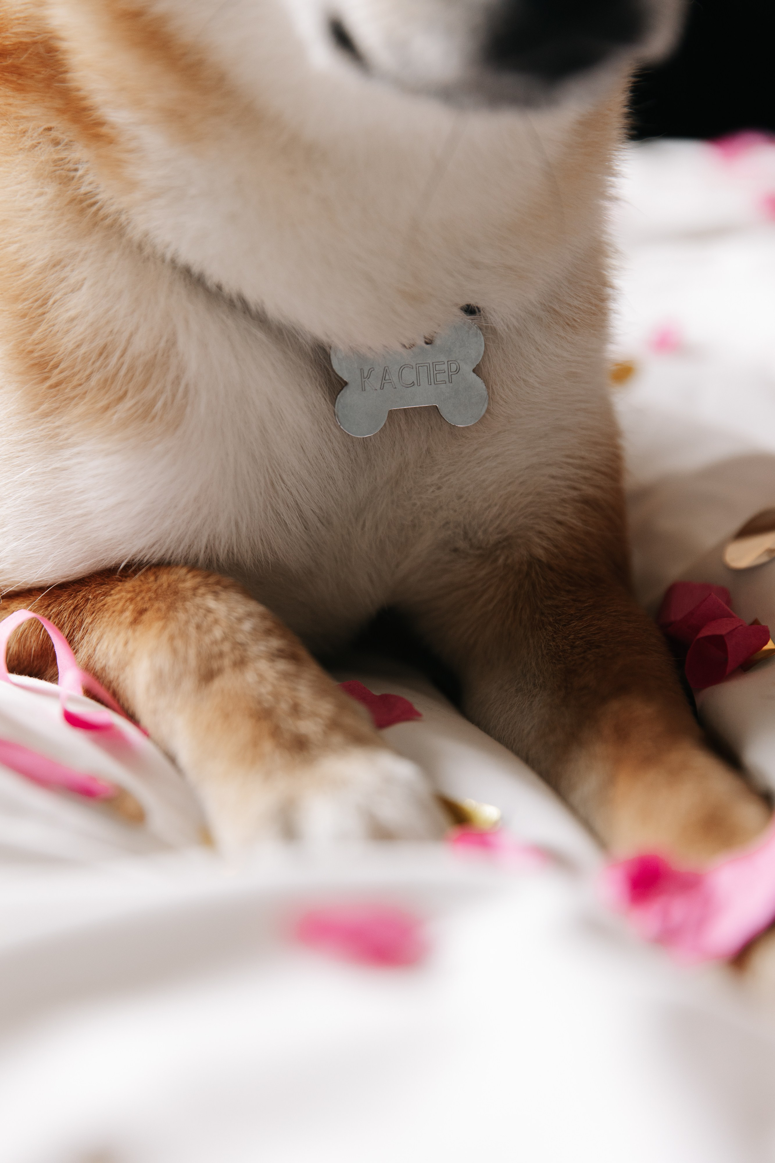 Вероника и Денис. Свадебный фотограф в Санкт-Петербурге Екатерина Евсеева