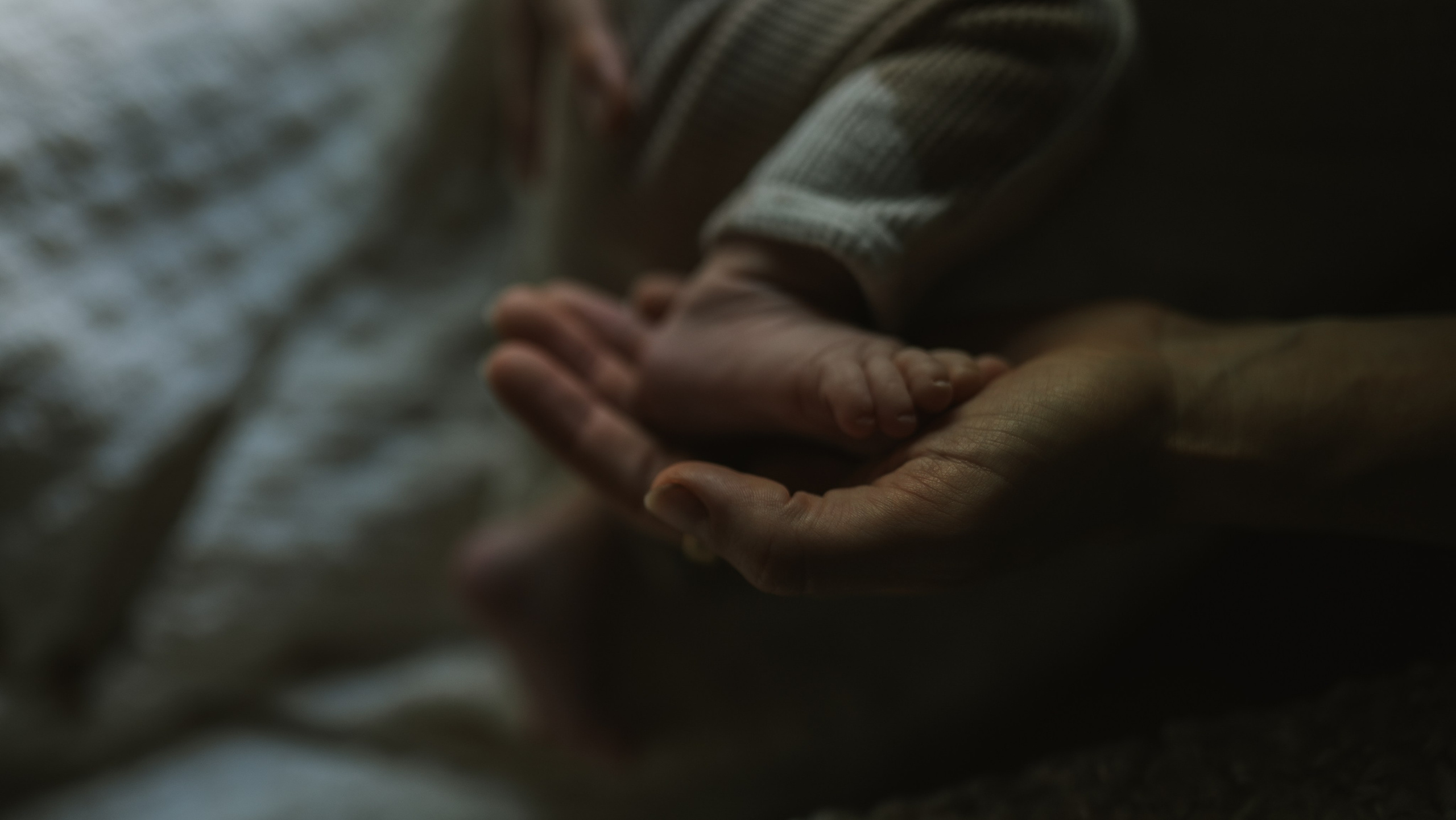 Newborn & Family Portraits — Heartfelt Austin Photography