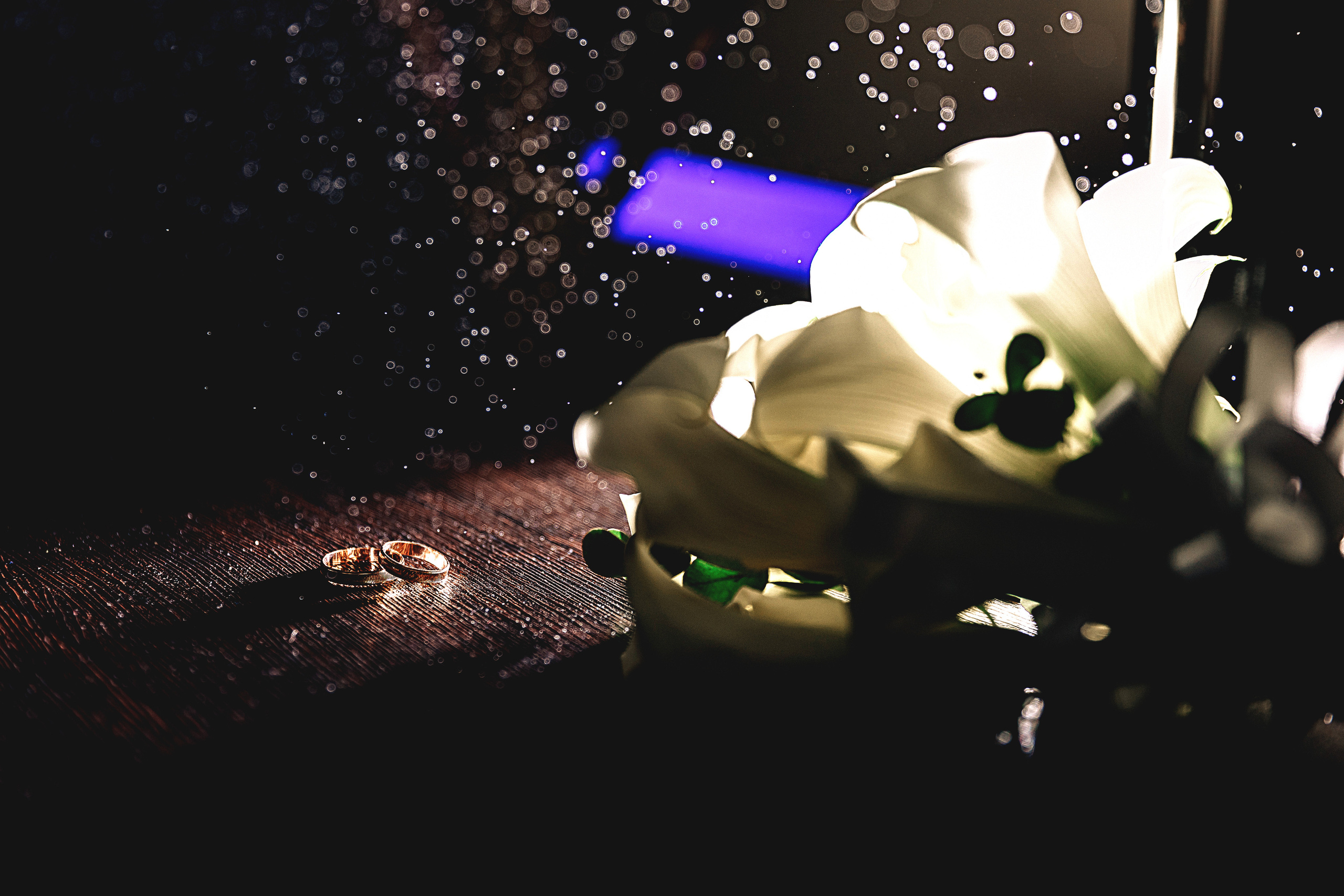 Прогулка. Фотограф с творческими идеями в Балашове Тамара Исаева