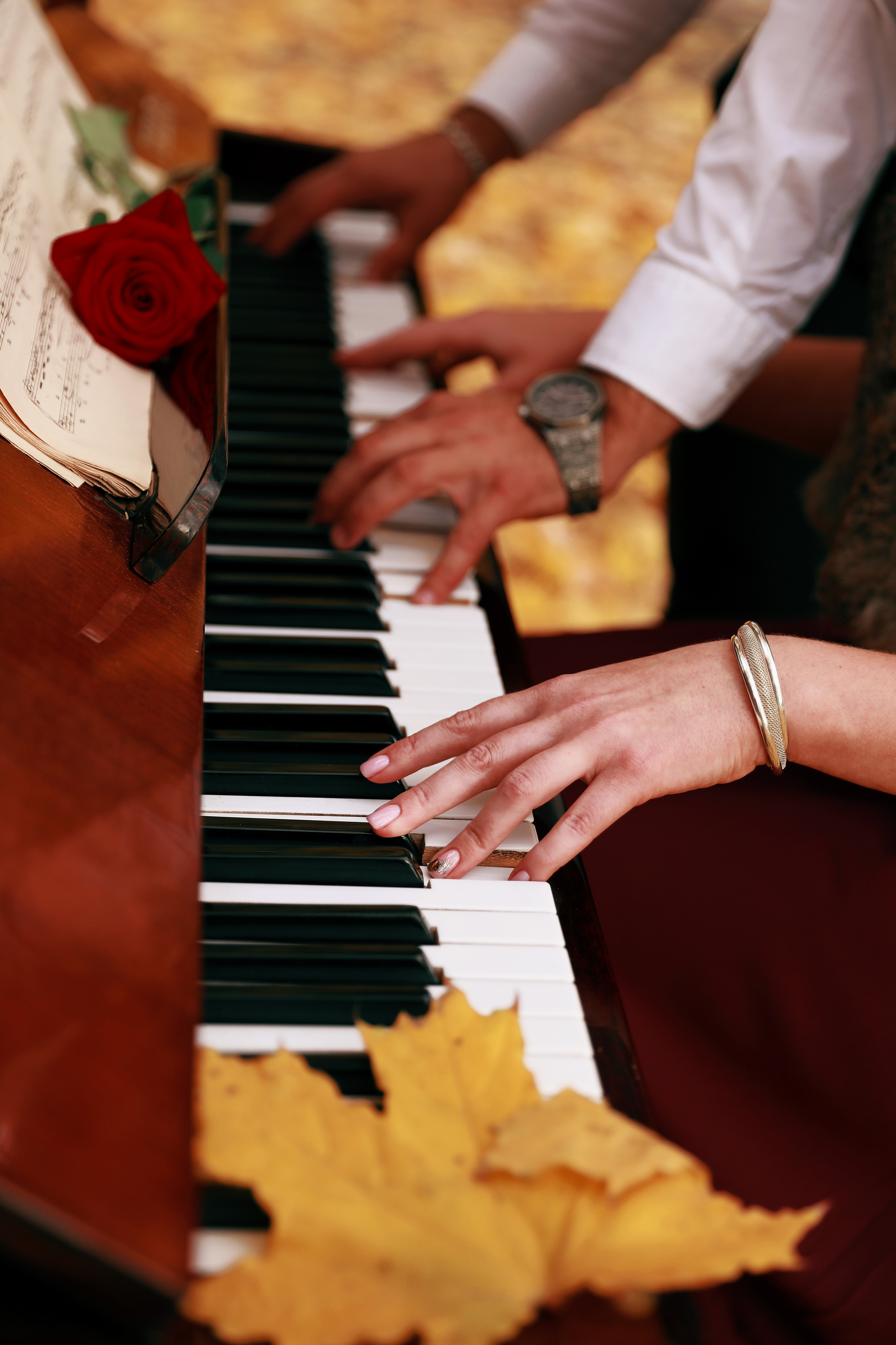 Парк фортепиано. Фотограф с творческими идеями в Балашове Тамара Исаева