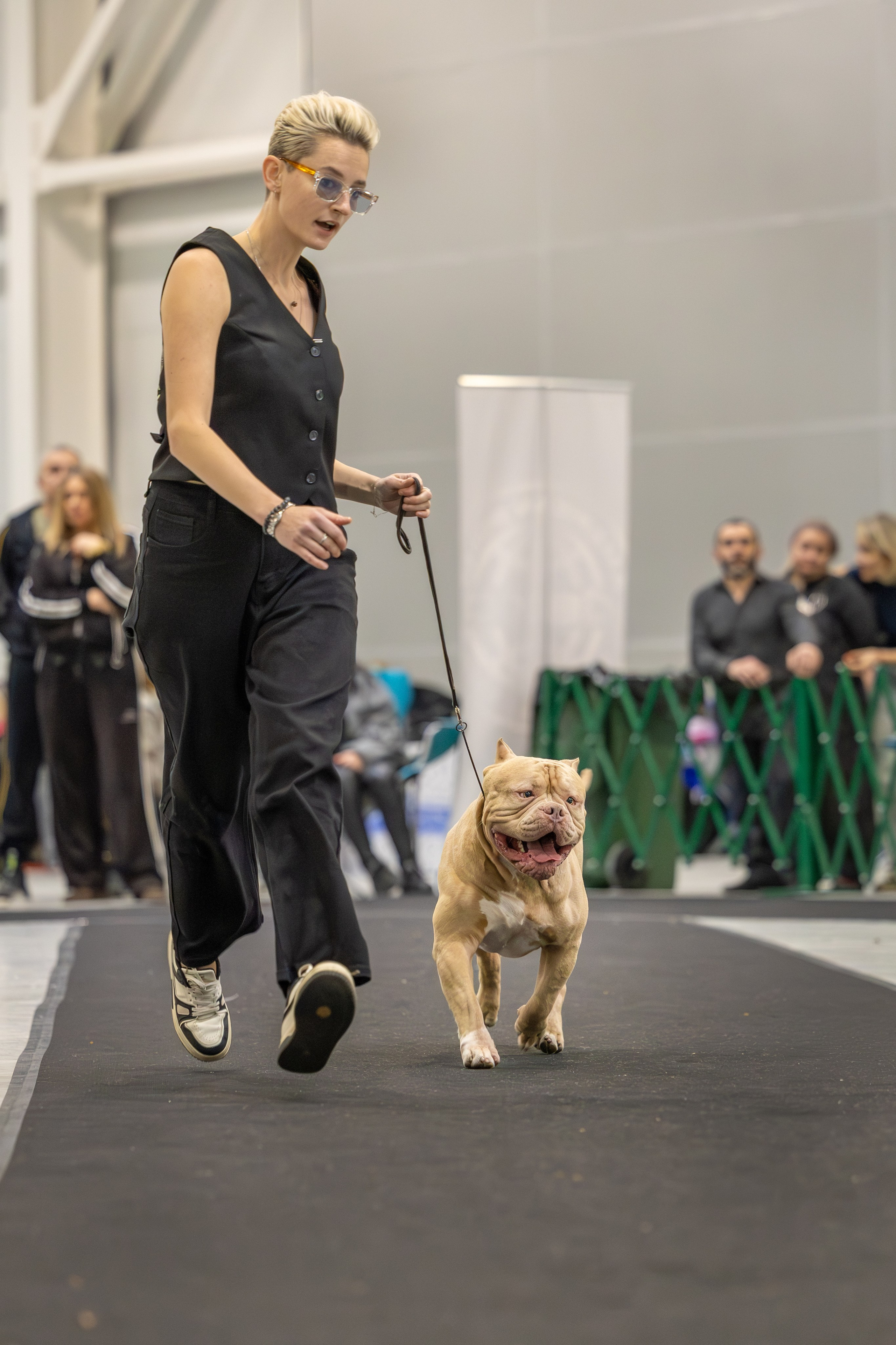 АВКС. Виктория Михайловская. Фотограф-анималист. Москва