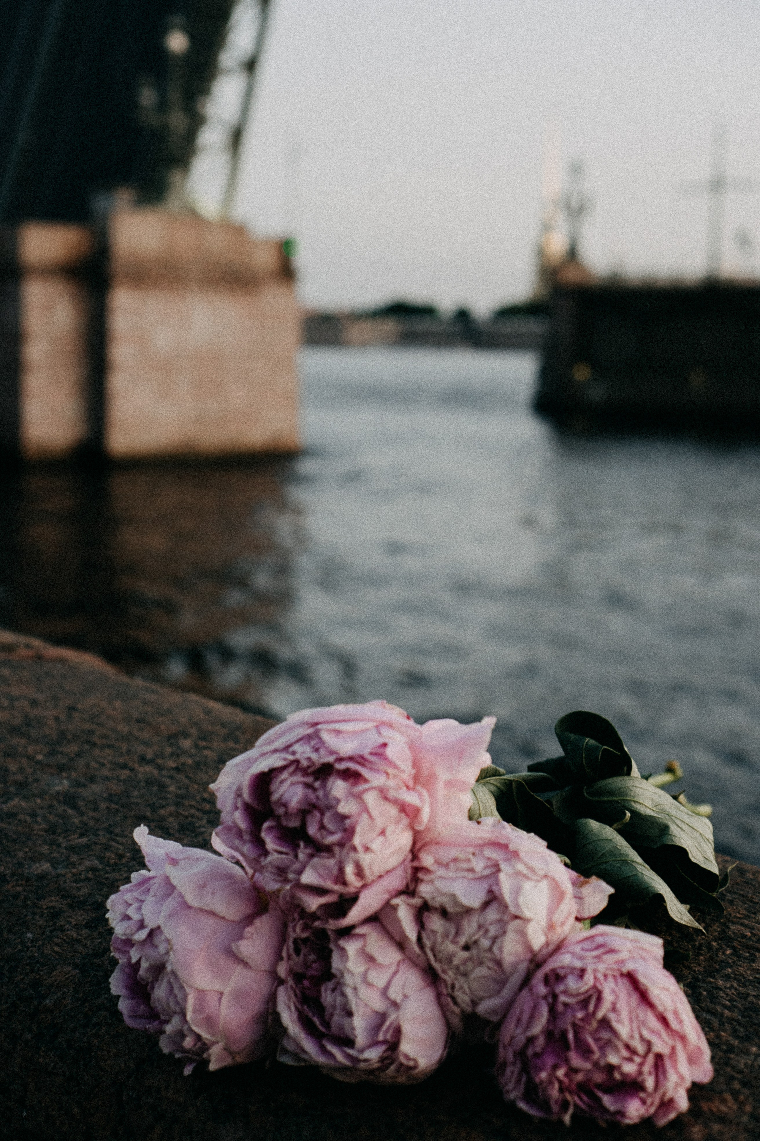 Сьемка мечты. Профессиональный фотограф, Санкт-Петербург — Виктория Богомолова