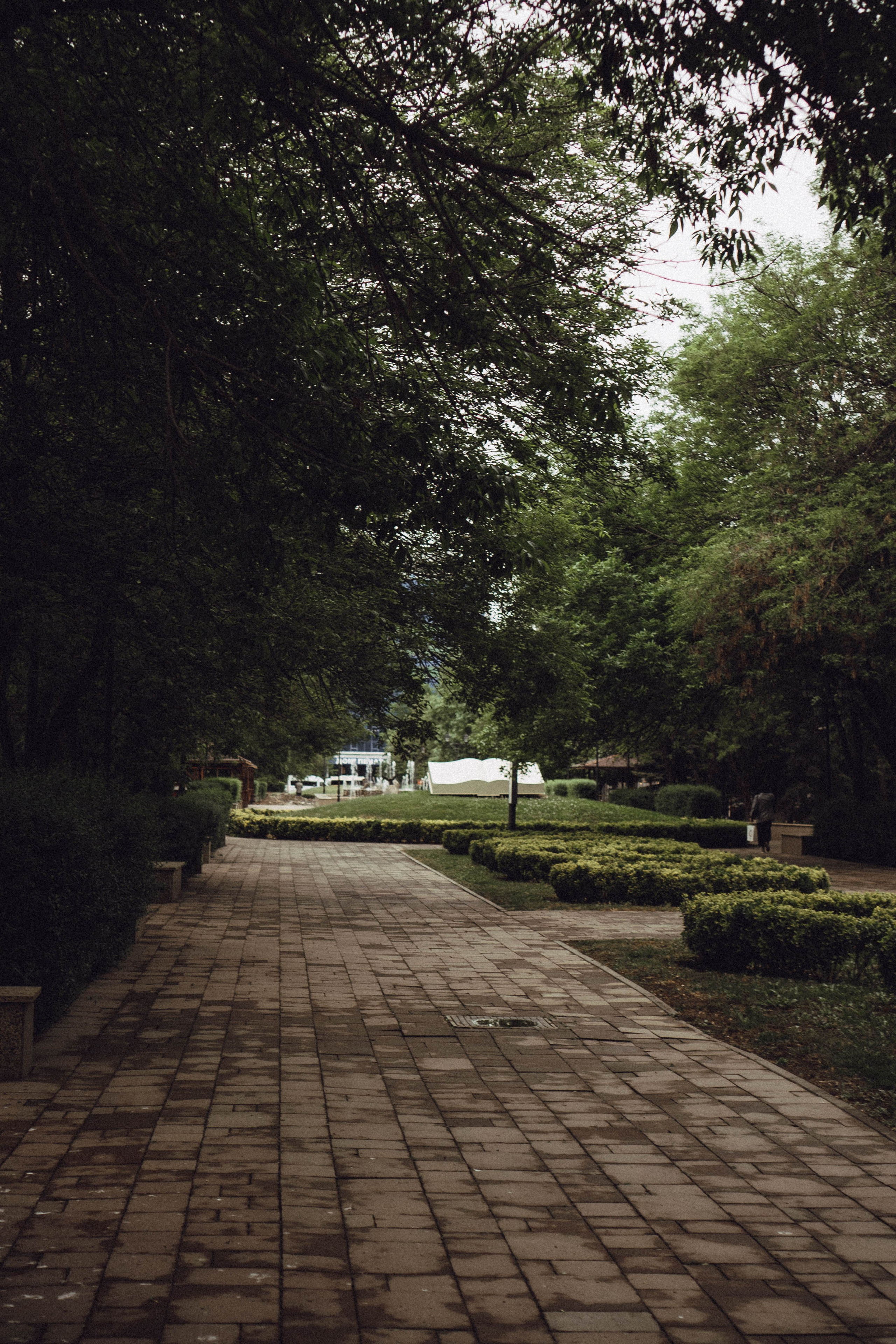 Кавказ. Профессиональный фотограф, Санкт-Петербург — Виктория Богомолова