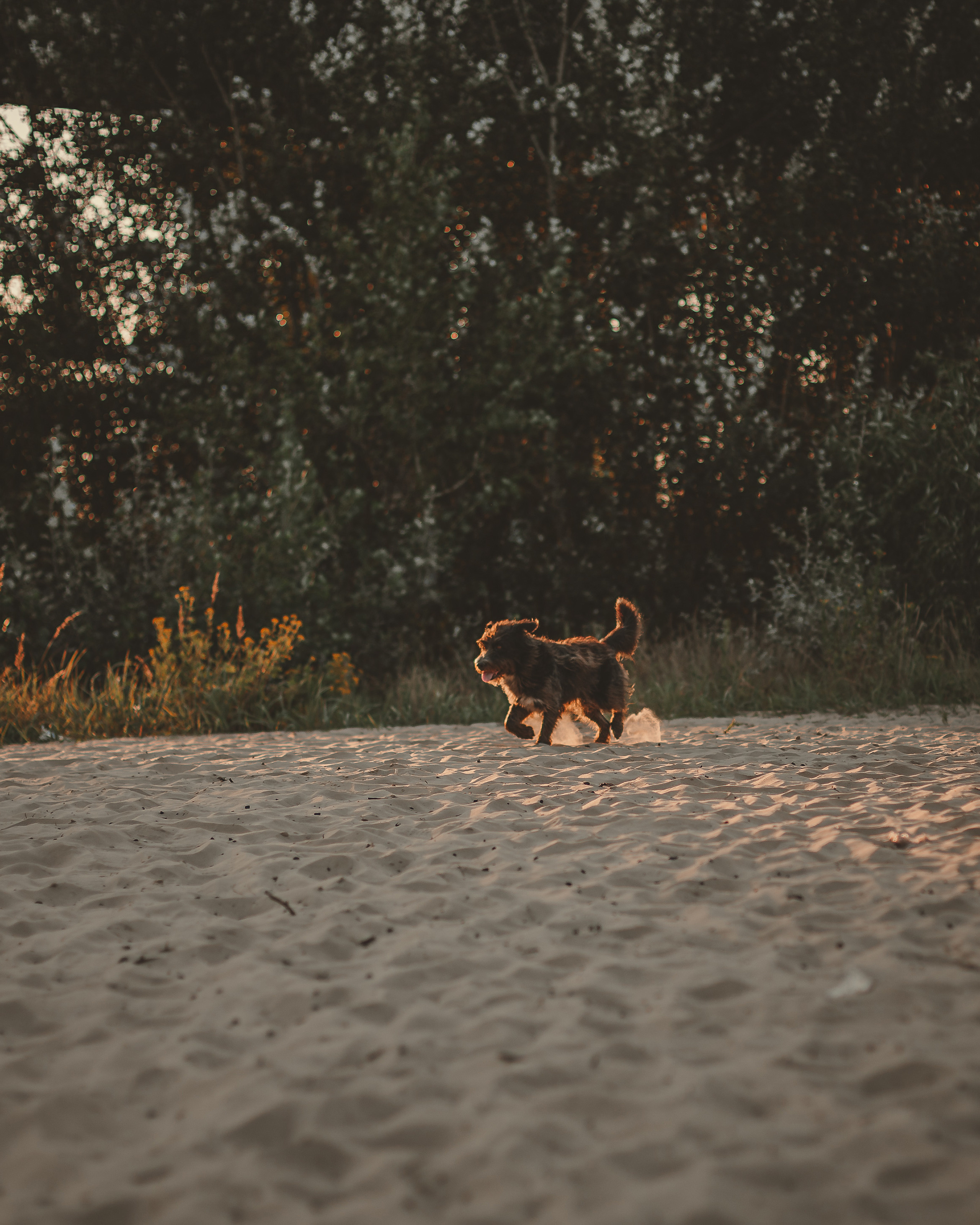 Вадим и Ирина. Семейный, детский, свадебный фотограф по всей РБ Валера Михневич