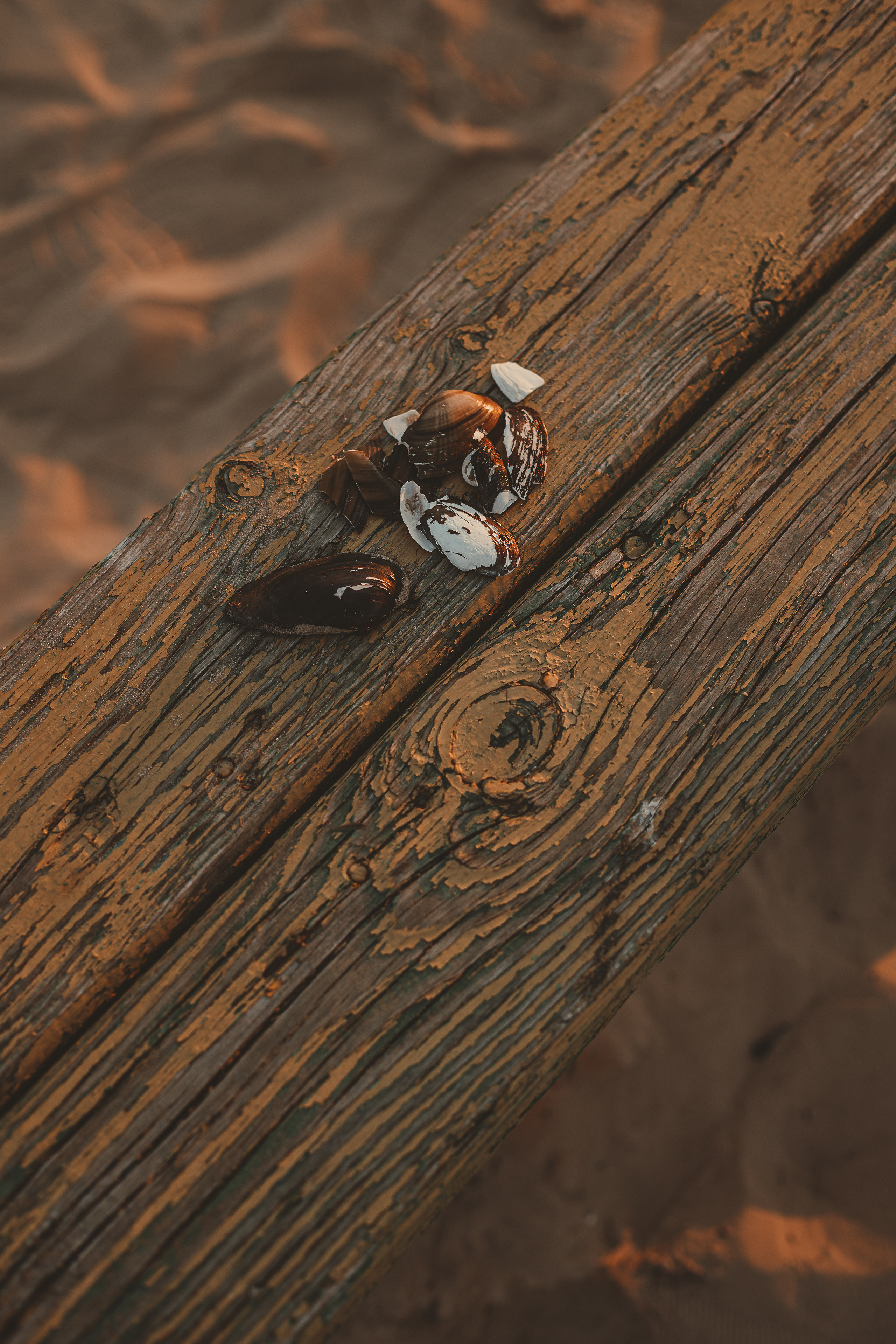 Вадим и Ирина. Семейный, детский, свадебный фотограф по всей РБ Валера Михневич