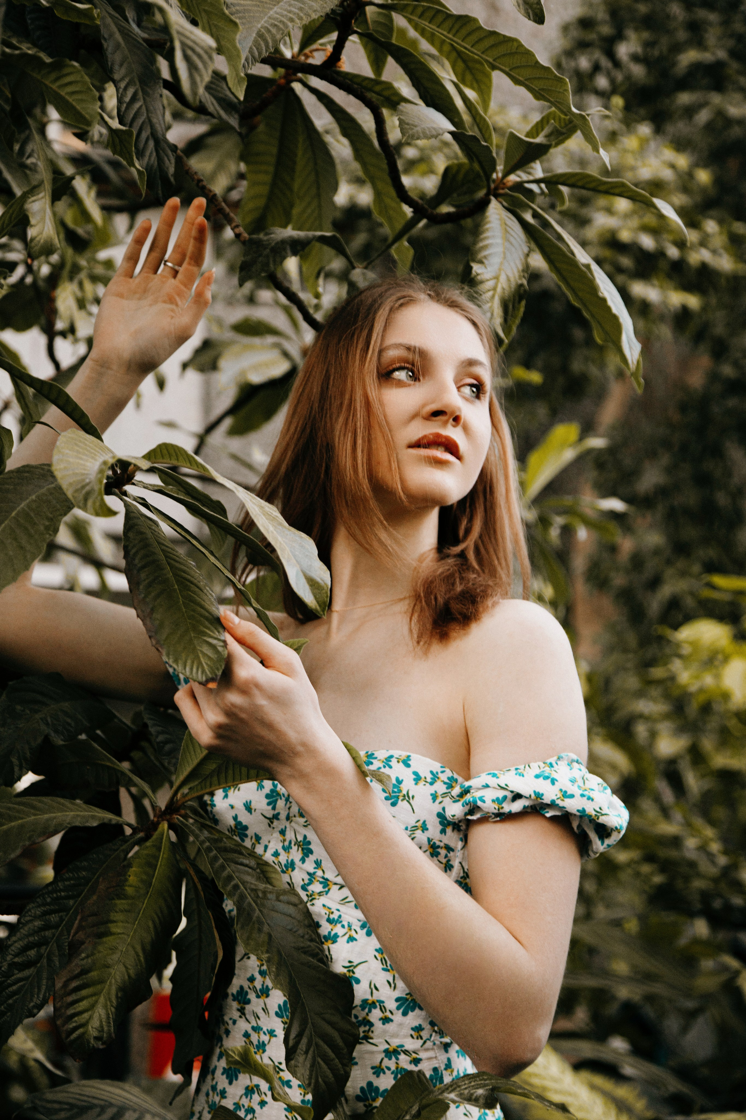 Оранжерея Таврического сада