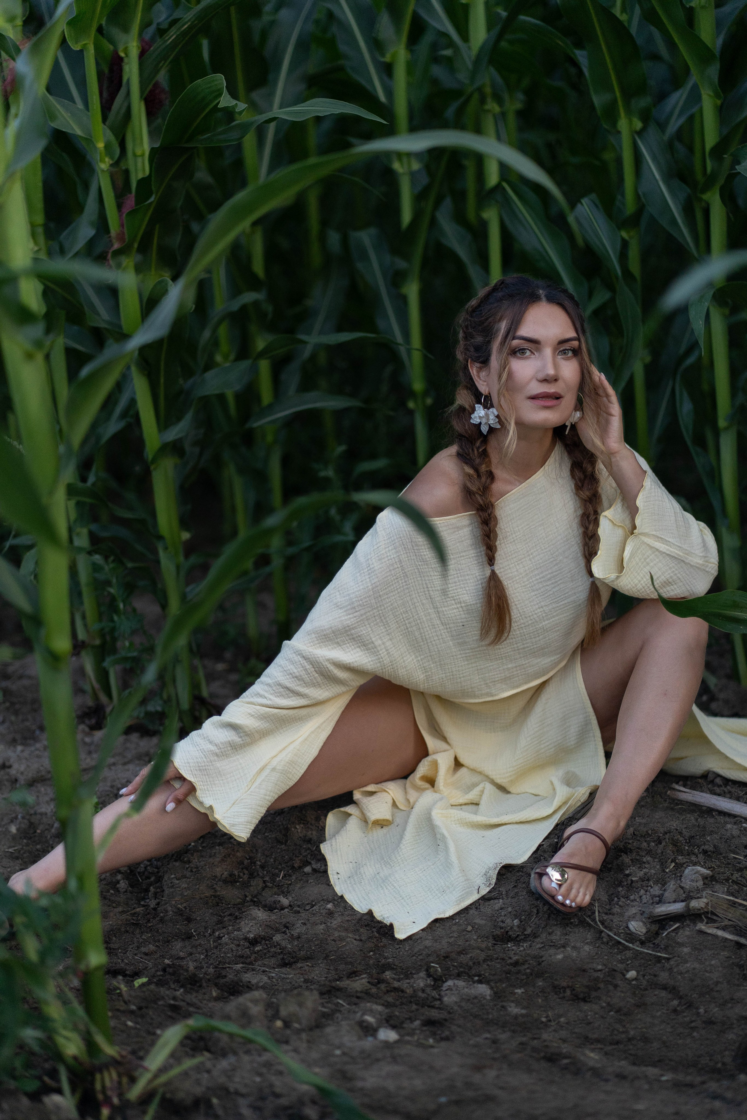 Кукурузное поле. Главная