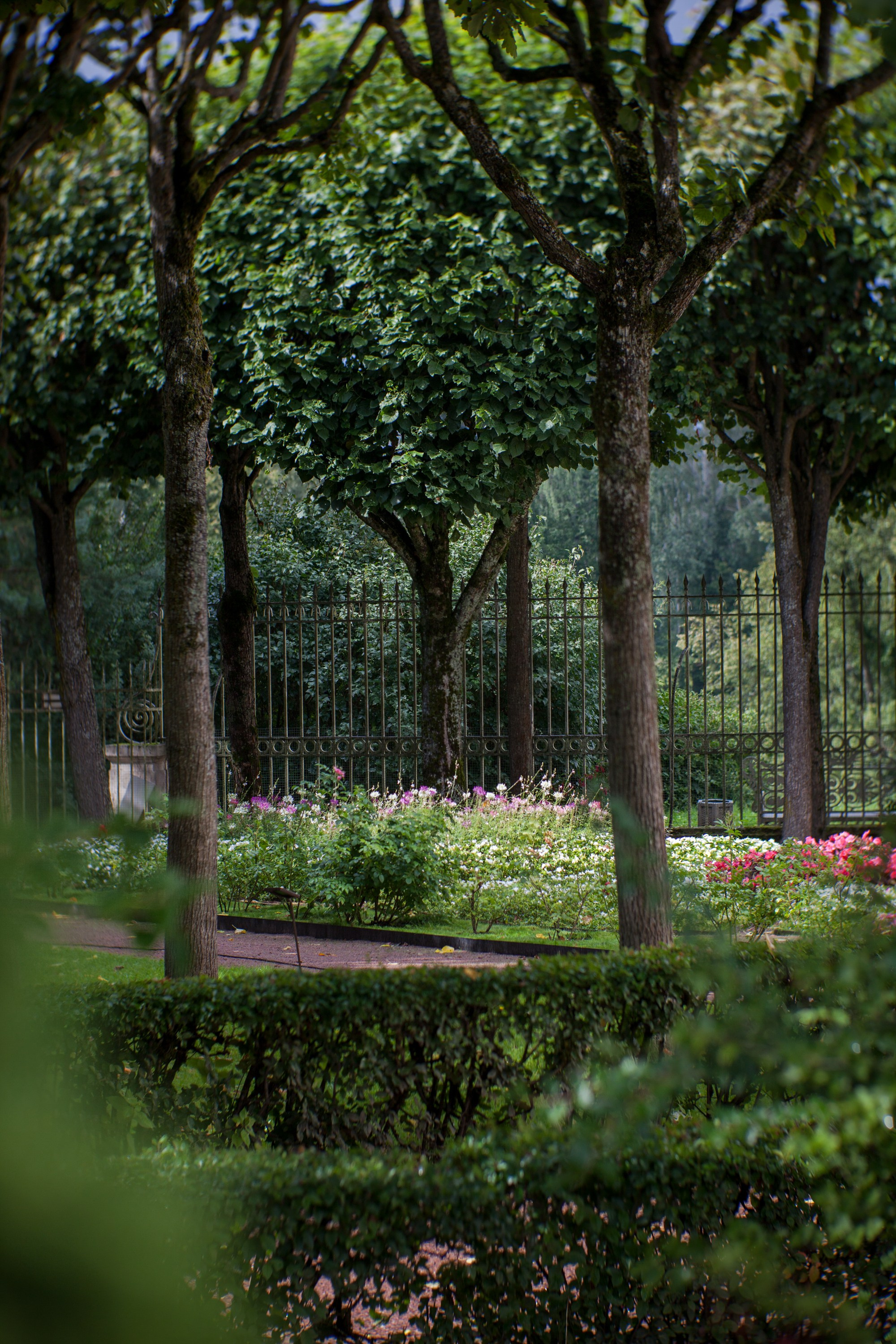 Ландшафтная фотография. Туманов Виталий — фотограф Москва