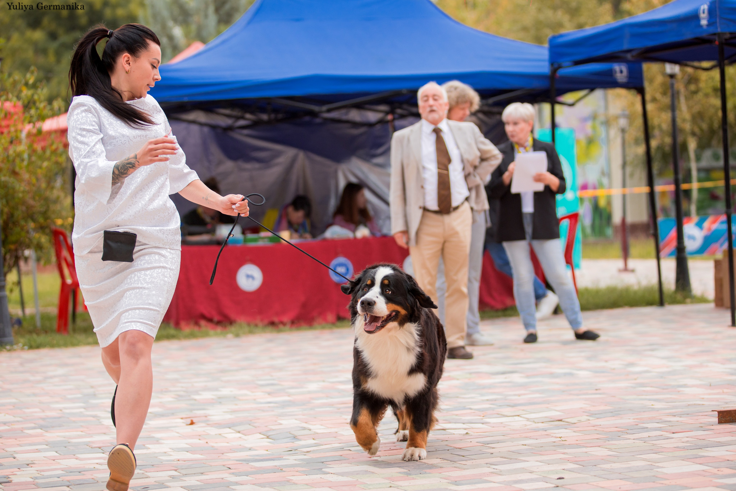Ташкент 6-8.10.2023 + Алматы 14-15.10.2023. Фотограф-анималист Юлия Германика
