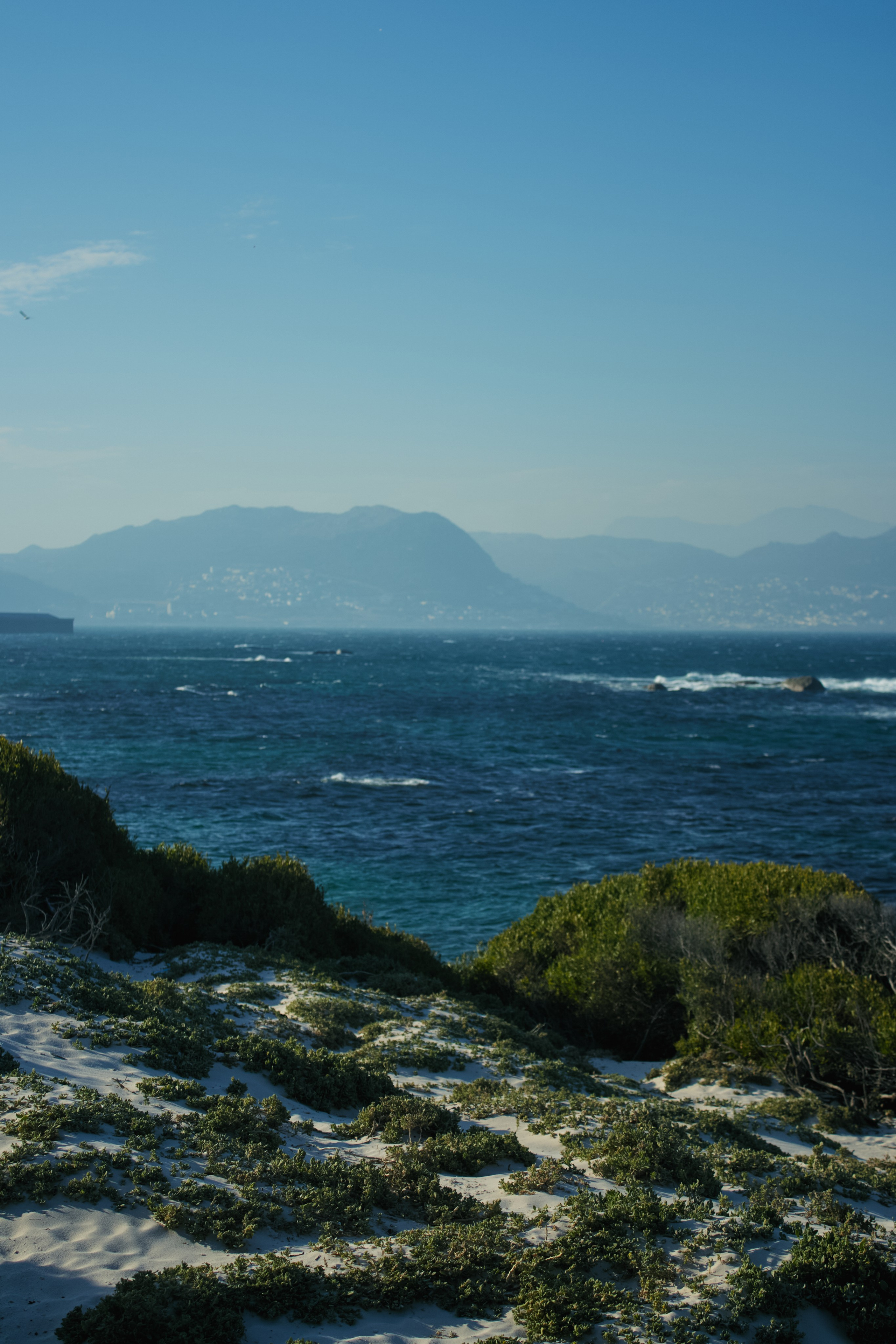 ЮАР. Профессиональный Фотограф во Владимире, в Москве и в Суздале — Полина Романычева