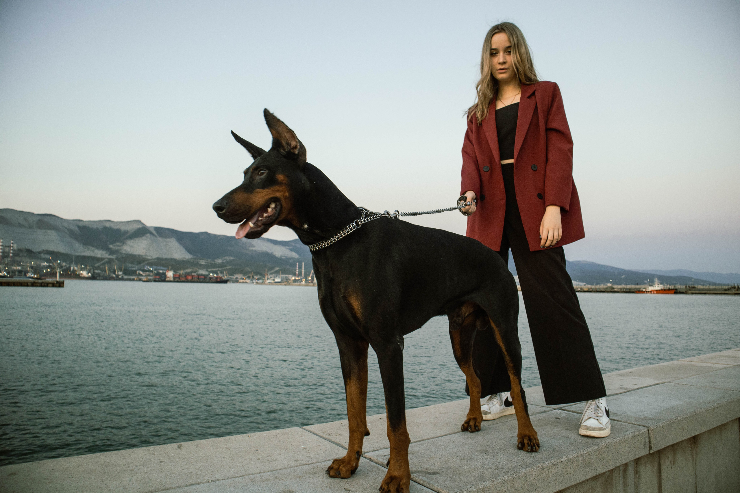 «Жизнь в ритме шага: пара с доберманом». Уличный фотограф Города N