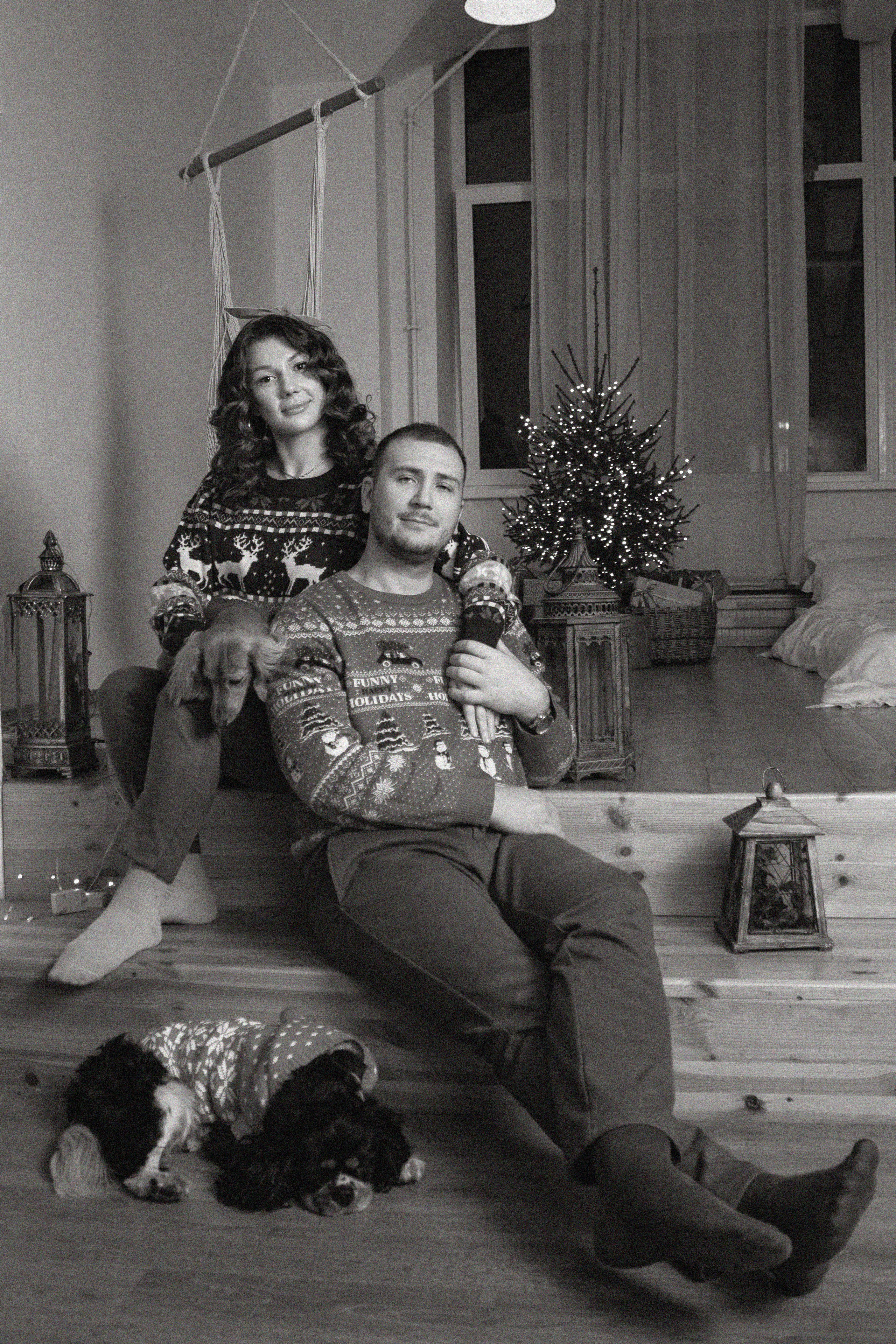 Новогодние собаки. Фотограф в Санкт-Петербурге Рейдер Дарья