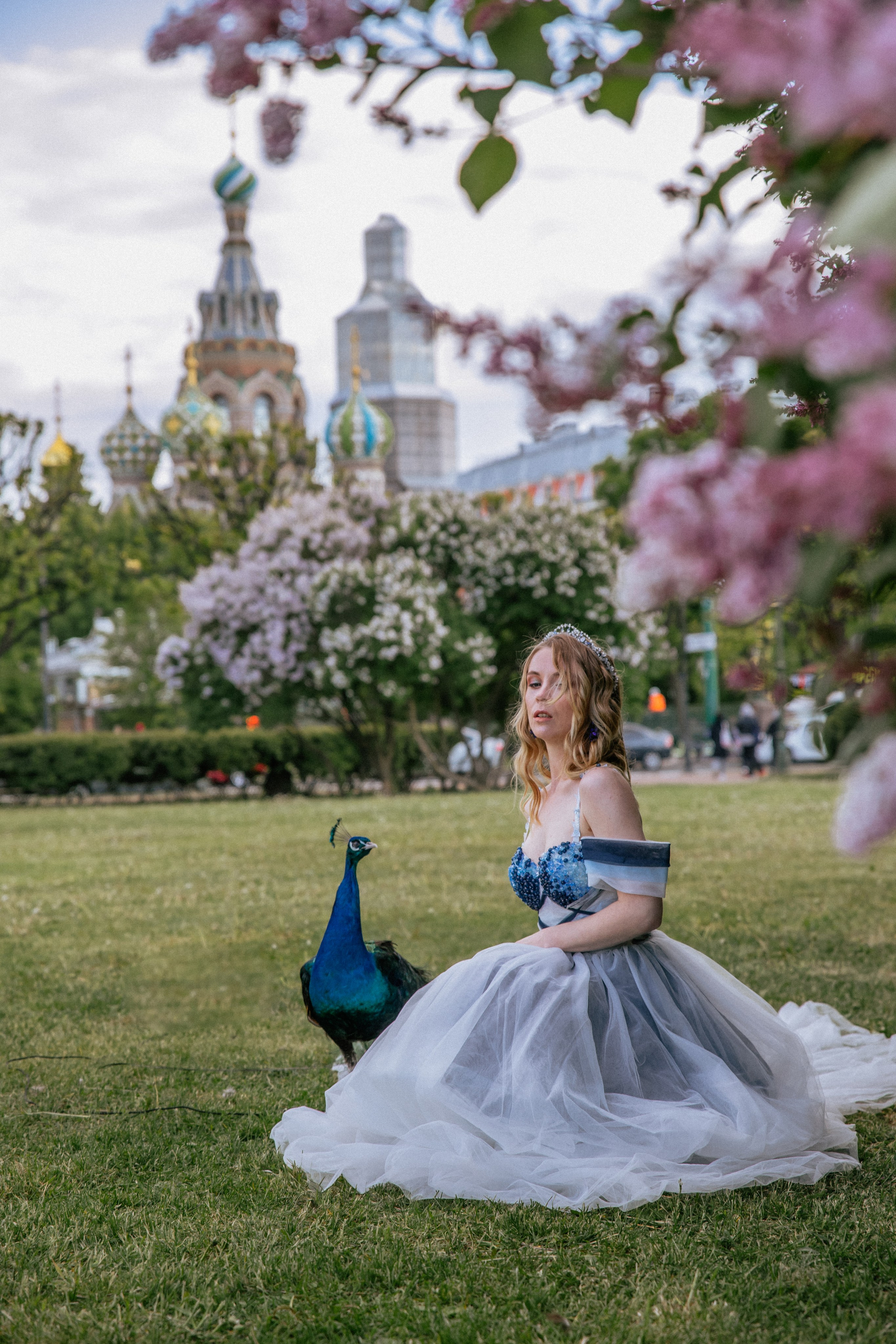 Павлин. Elena Sova — семейный и женский фотограф в Санкт-Петербурге